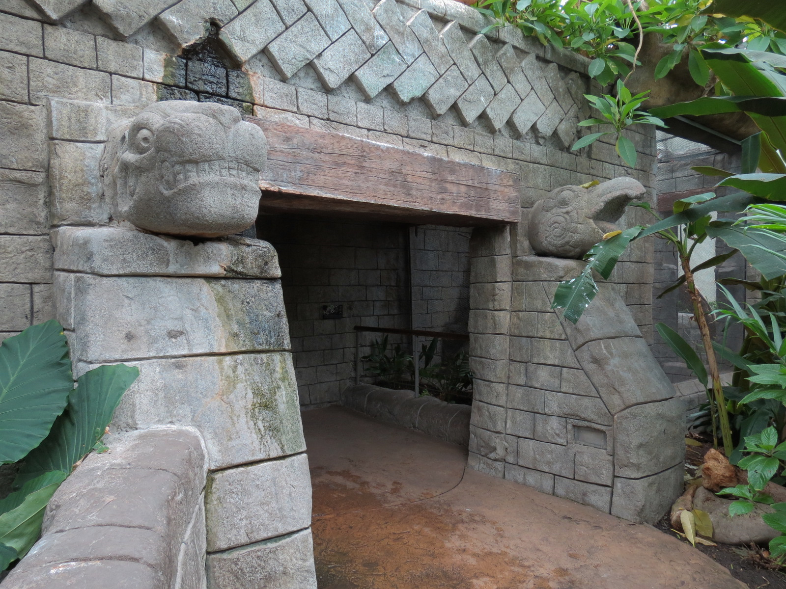 The Rainforest - Temple Passage