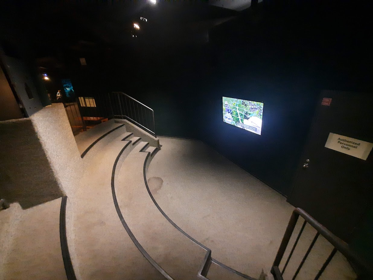 The RainForest - Theater