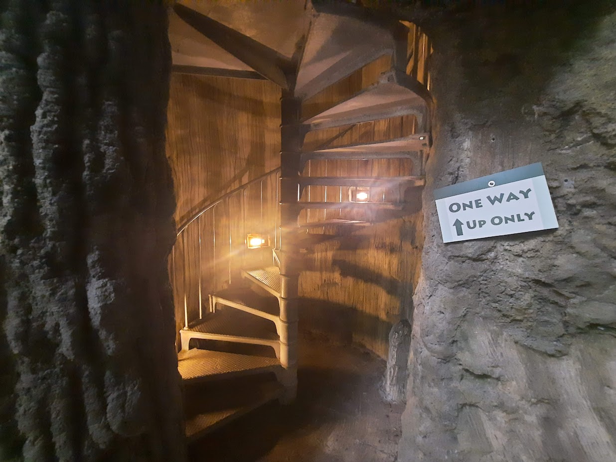 The RainForest - Tree Stairs Interior