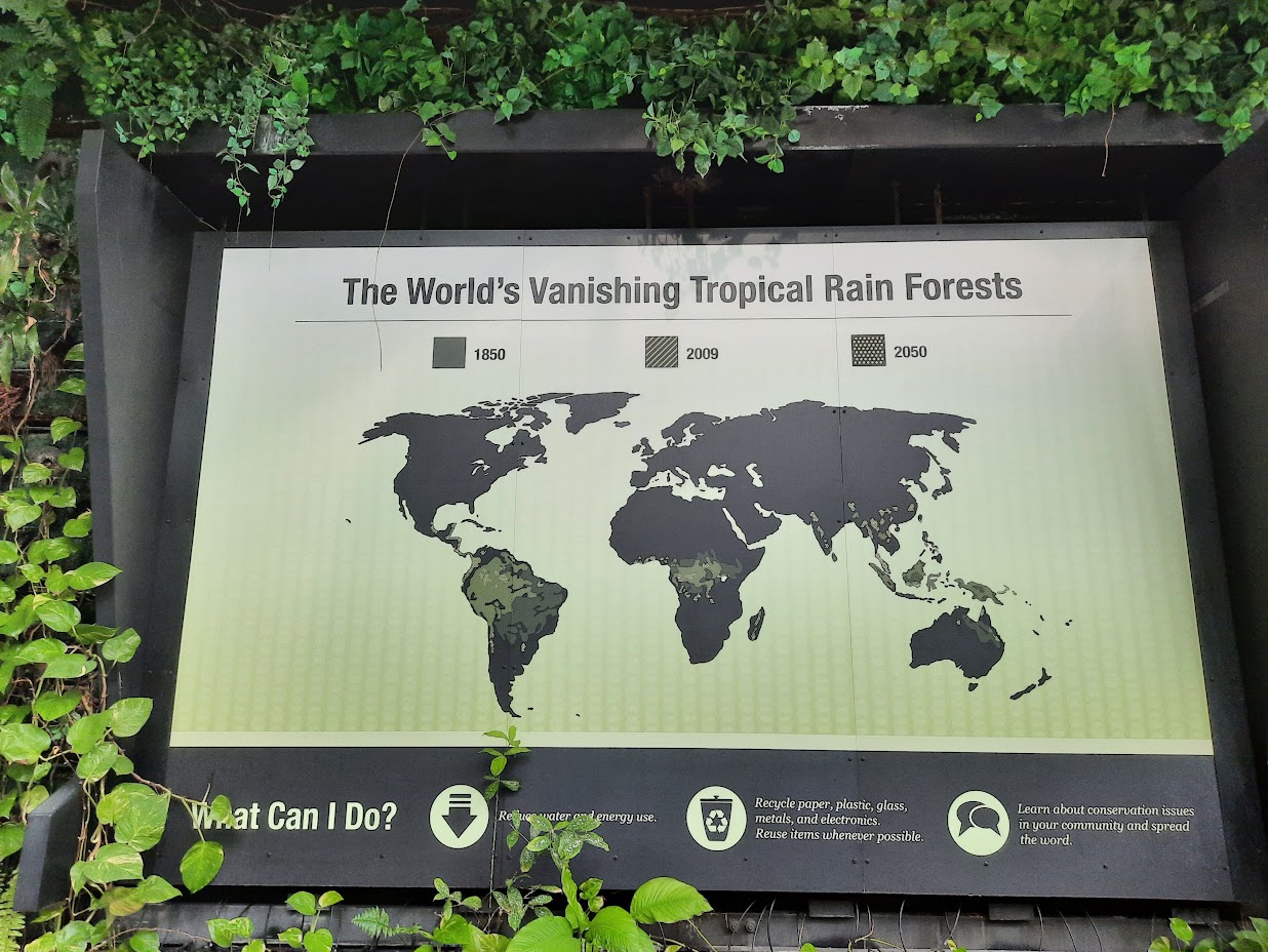 The RainForest - Vanishing Forest Sign