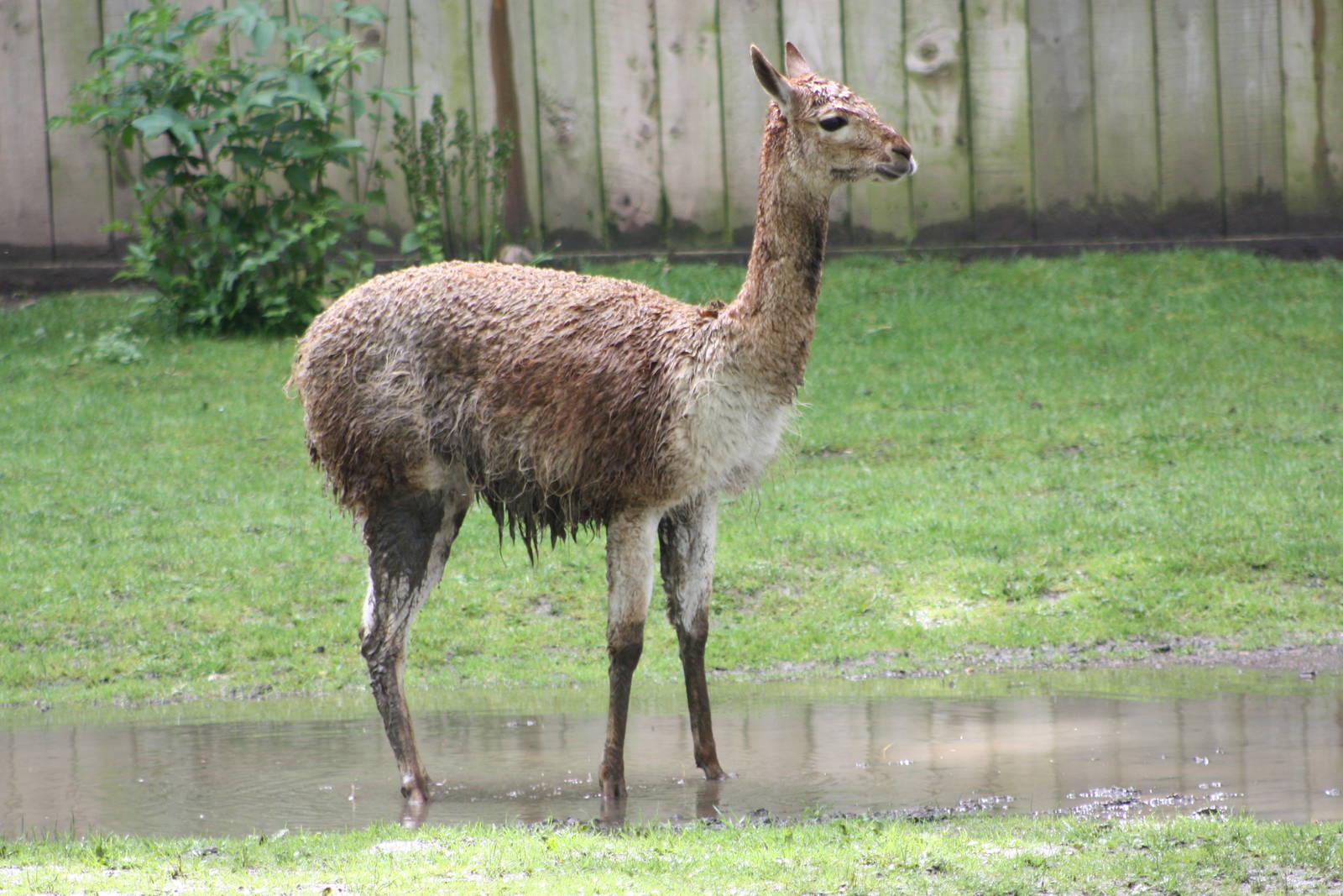 The rainy season in South America, 9th June 2014