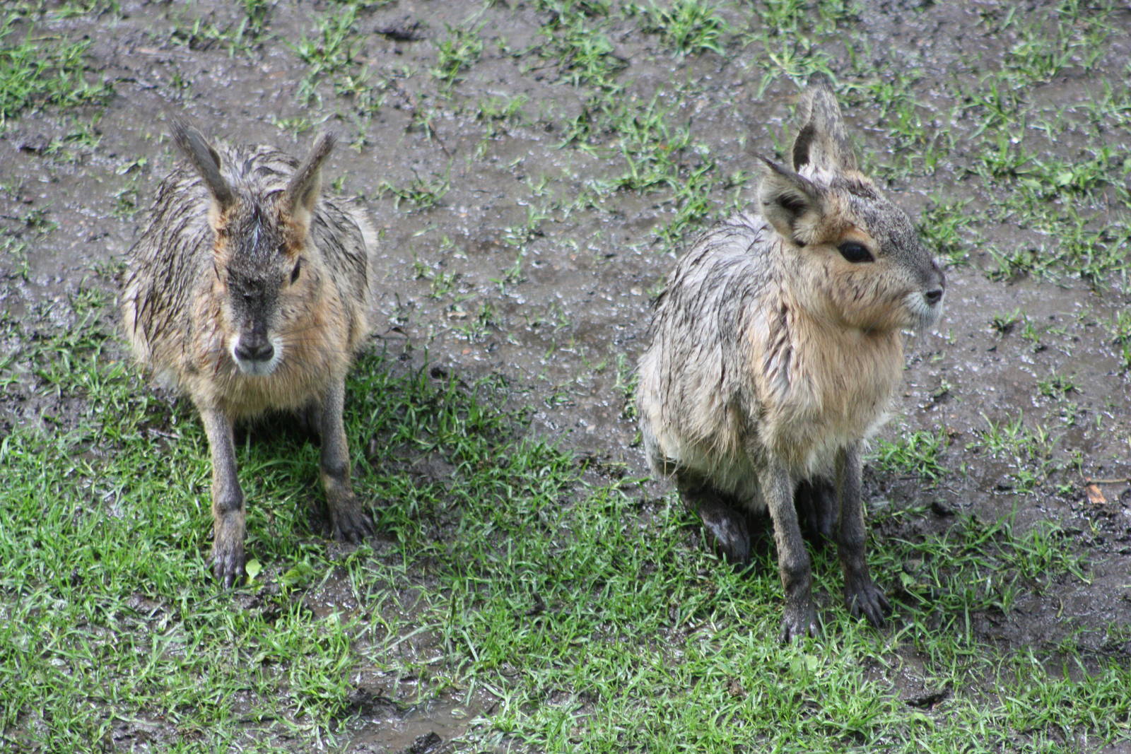 The rainy season in South America, 9th June 2014