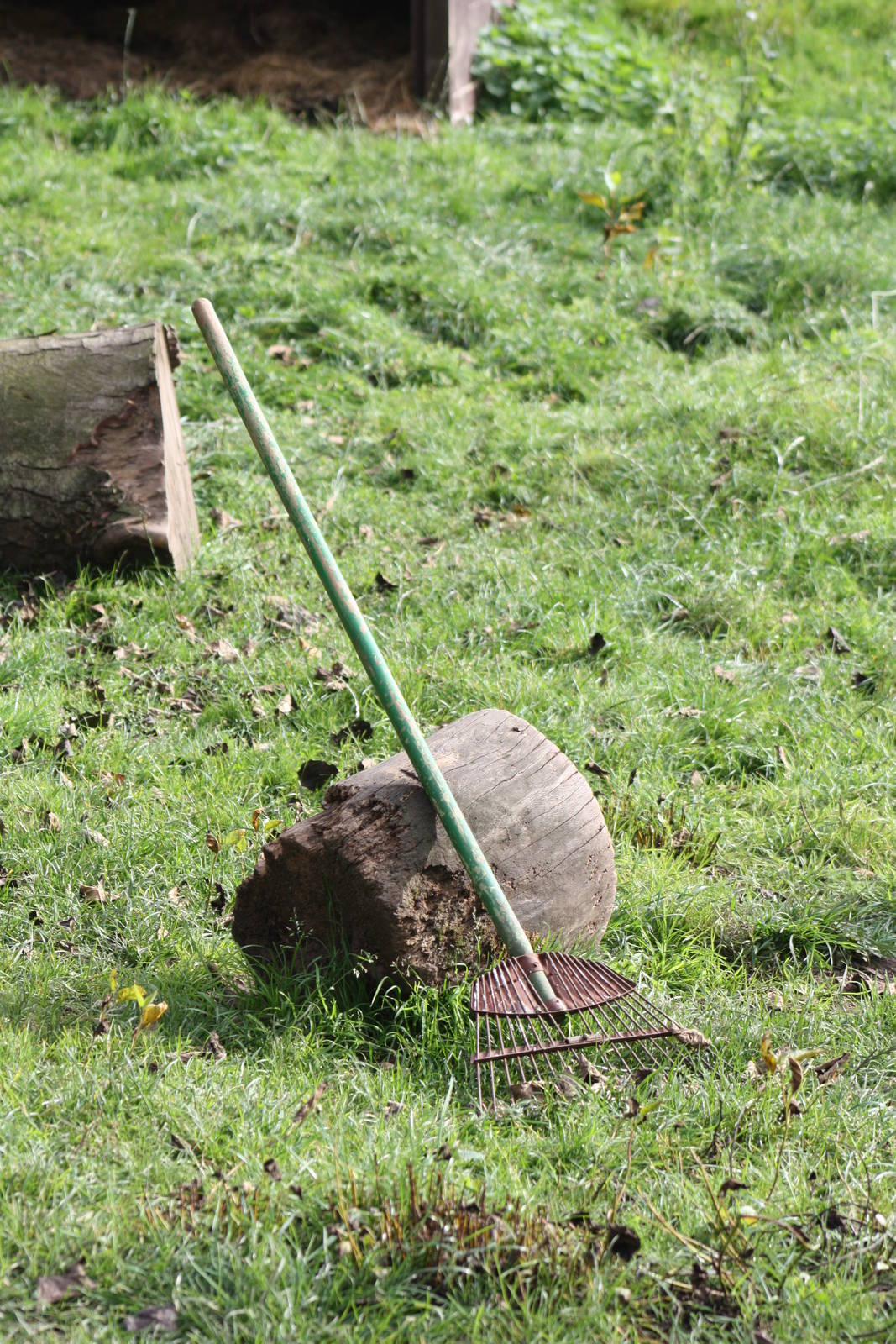 The rake rests while the first barrow full is dumped, 12th September 2014