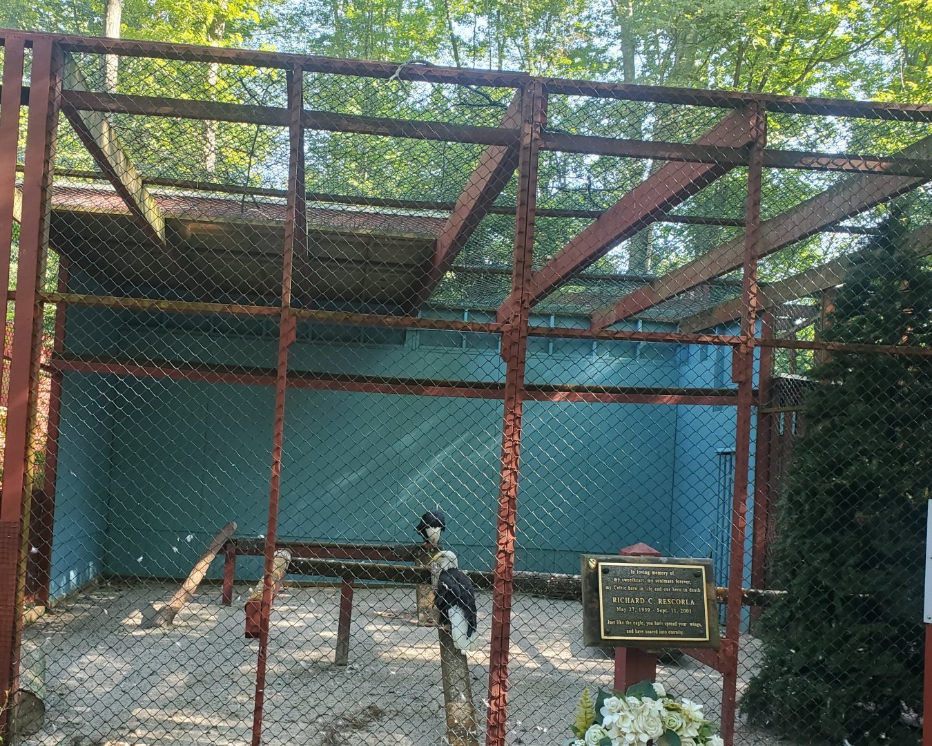 The Raptor Trust (2022) - Bald Eagle enclosure