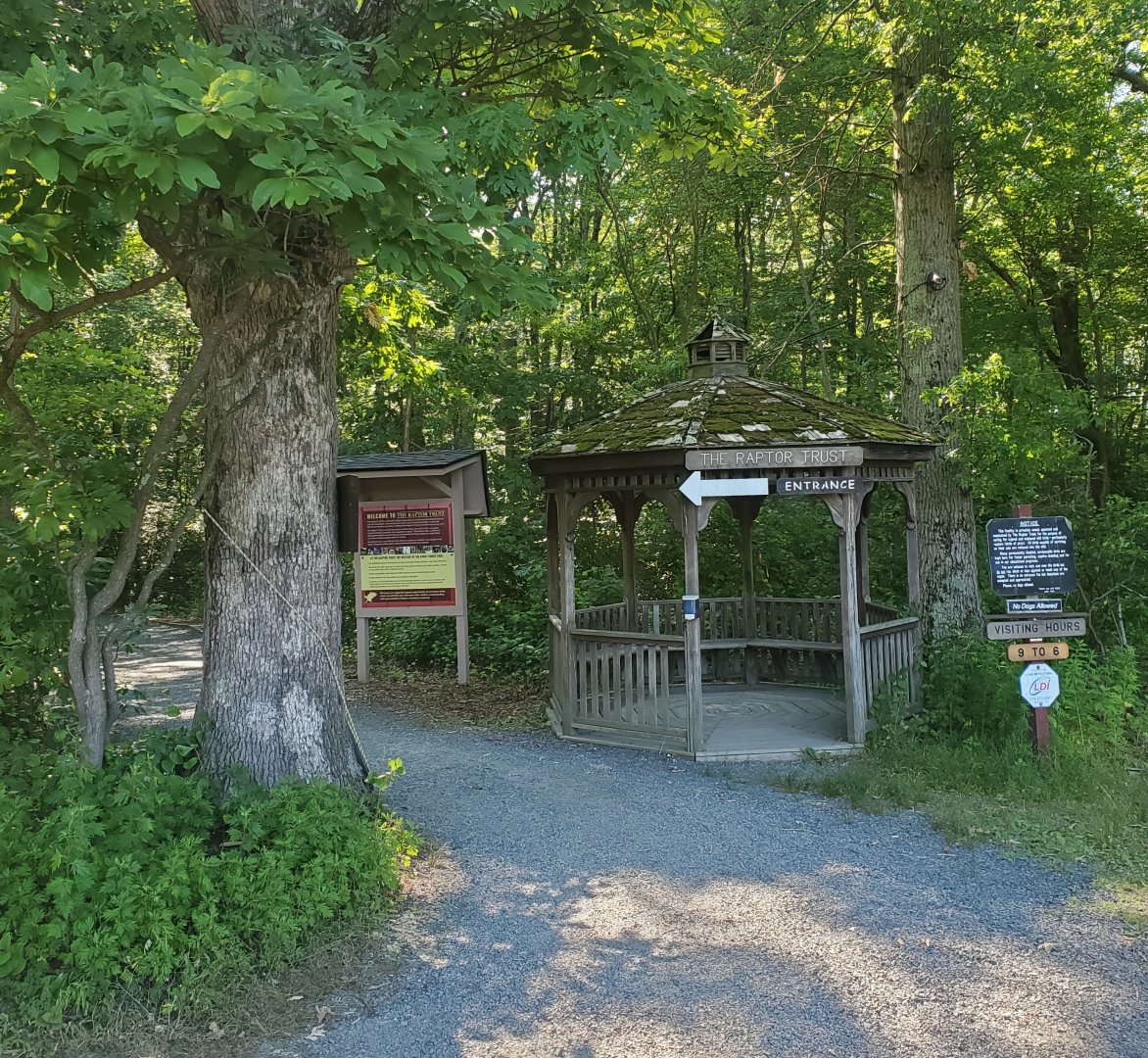 The Raptor Trust (2022) - Entrance