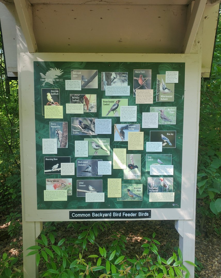 The Raptor Trust (2022) - Local feeder birds of New Jersey
