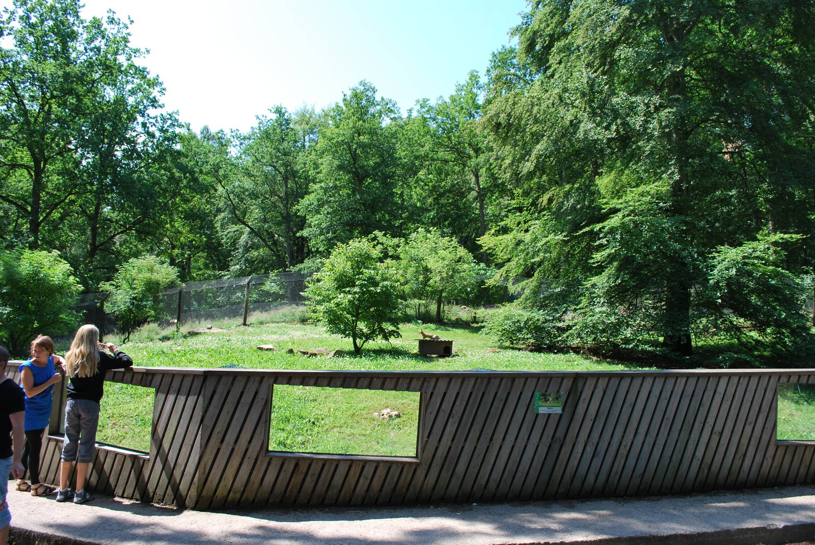 The red fox exhibit