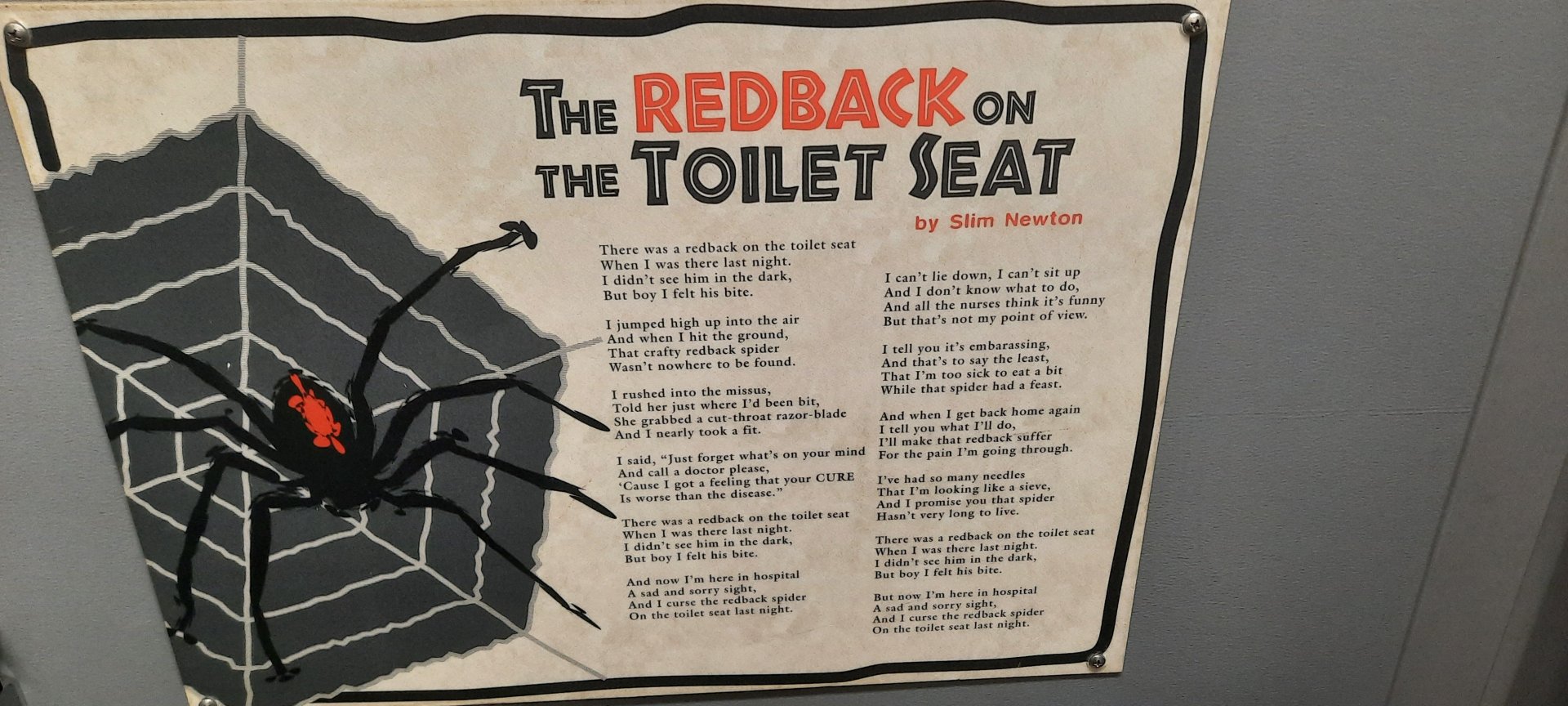 The Redback on The Toilet Seat