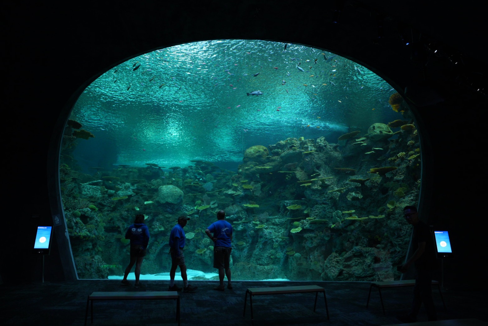 'The Reef' main viewing window