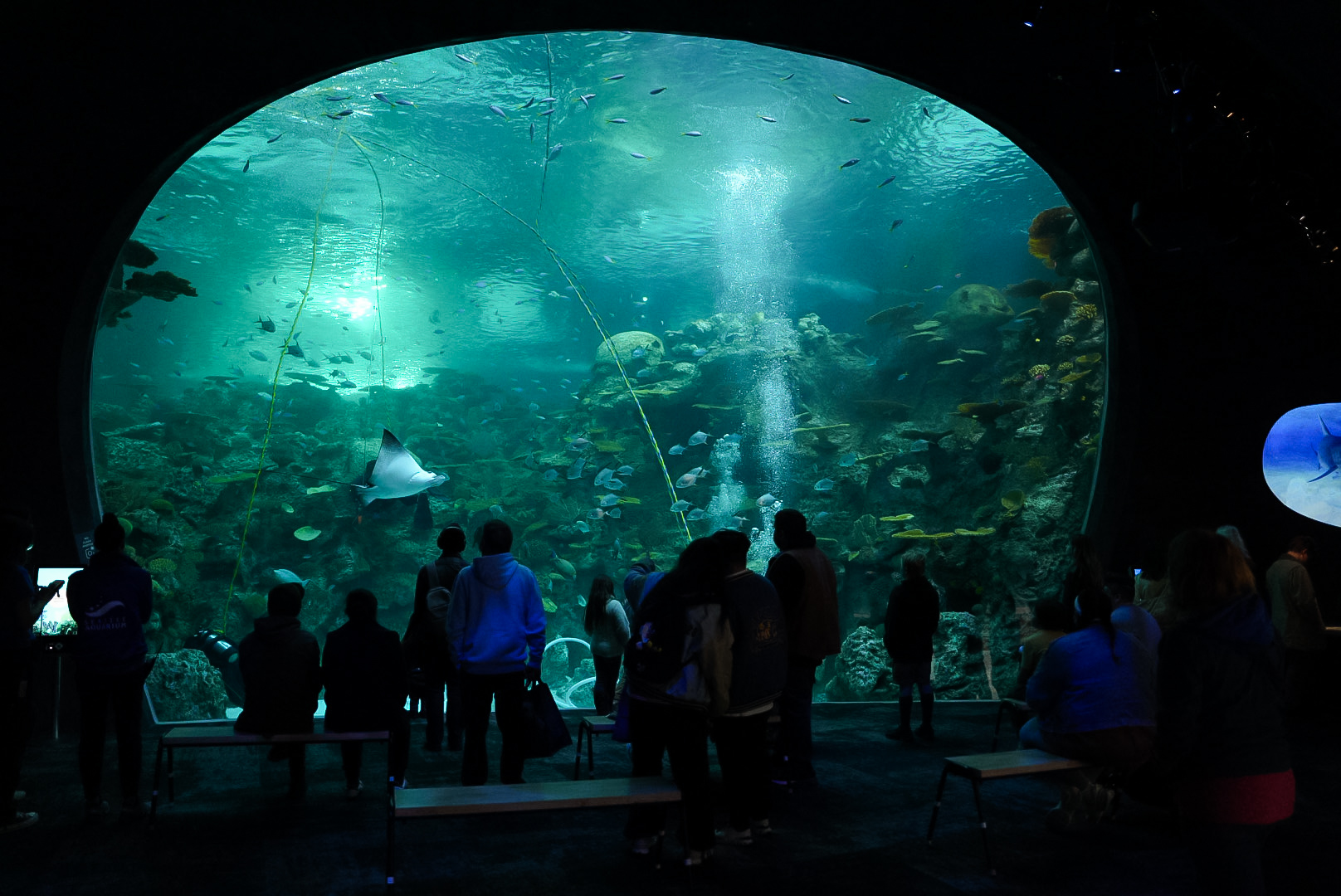 'The Reef' main viewing window