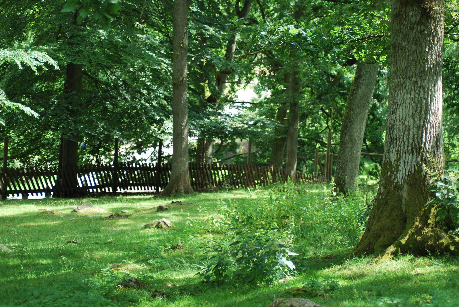 The reindeer exhibit