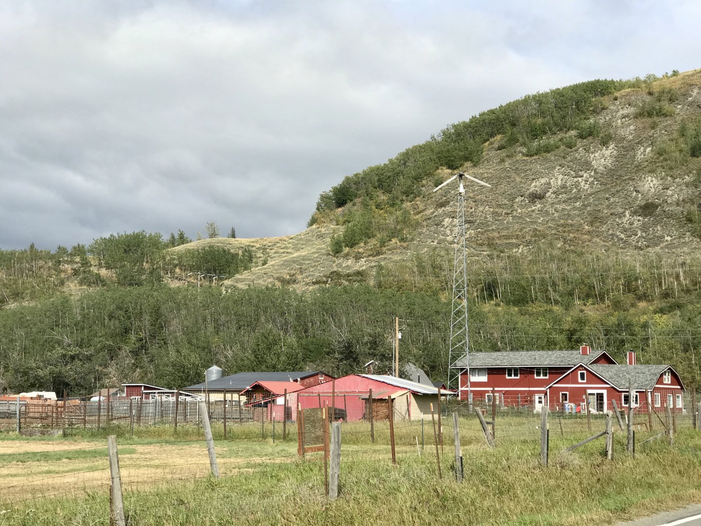 The Reindeer Farm, The Butte, Palmer, Alaska - August 2020