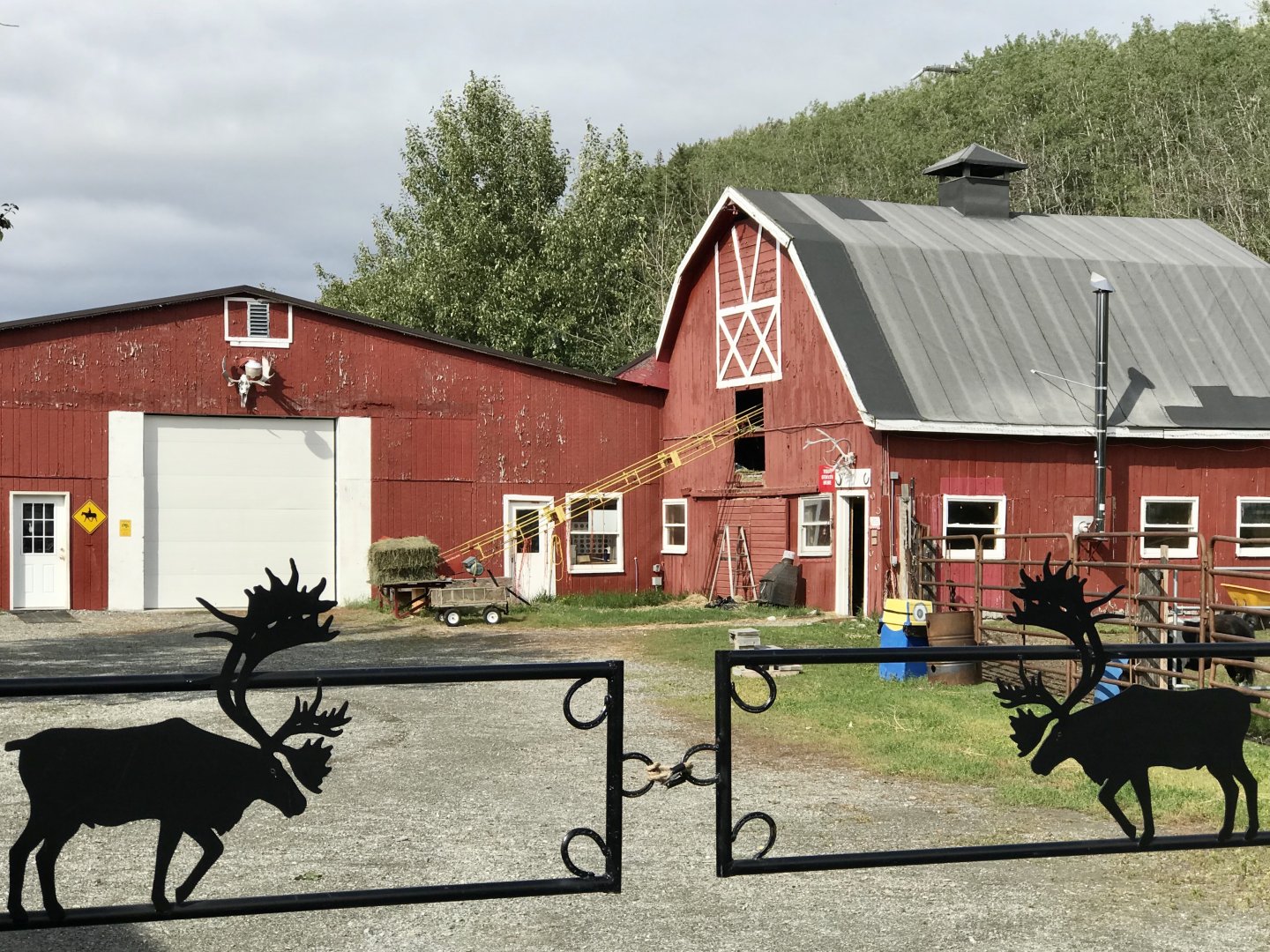 The Reindeer Farm