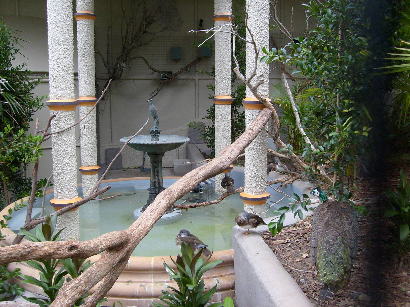 The renovated Moore Park avairy .Taronga