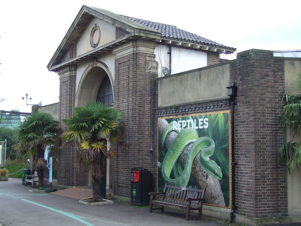 The Reptile House