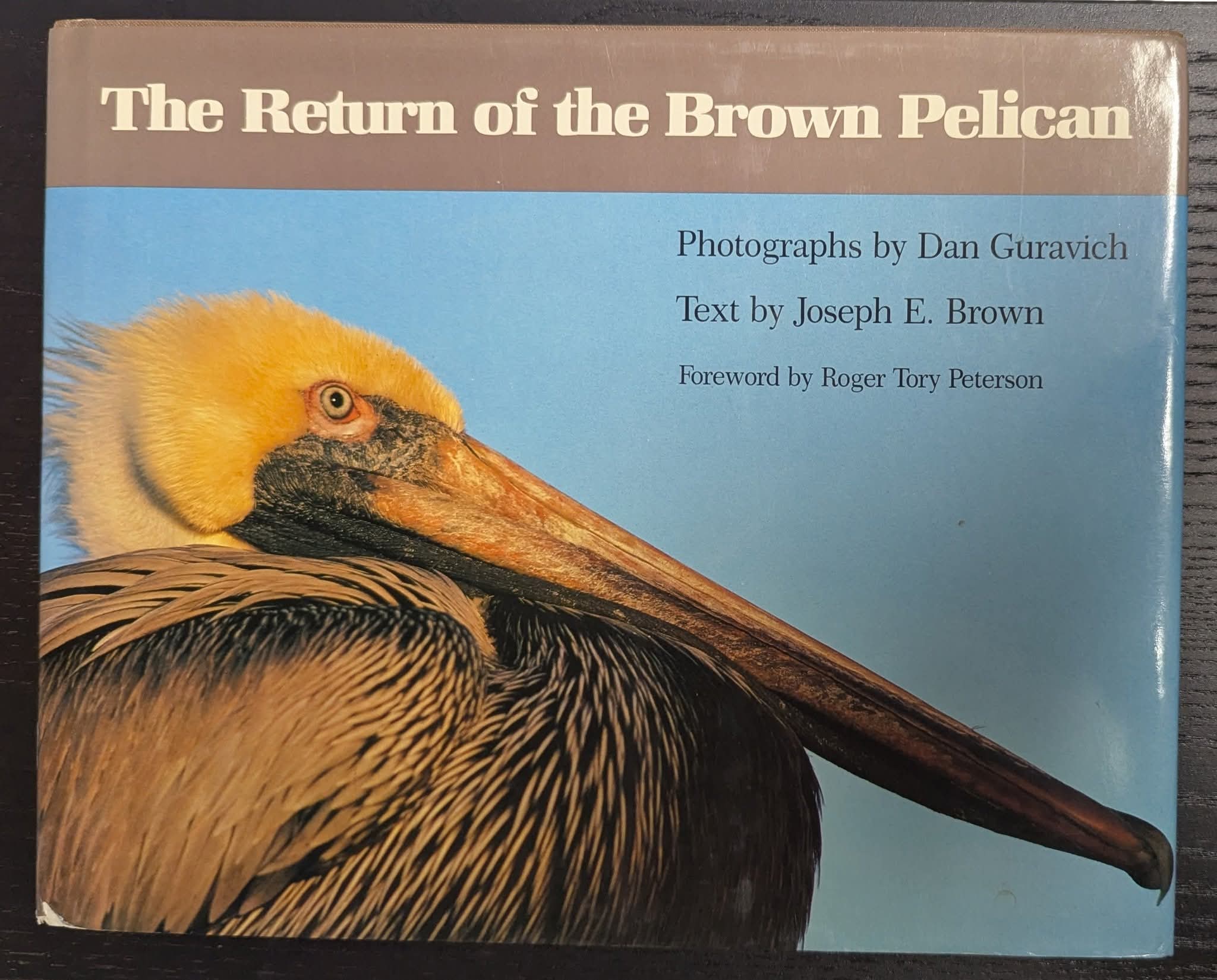 The Return of the Brown Pelican