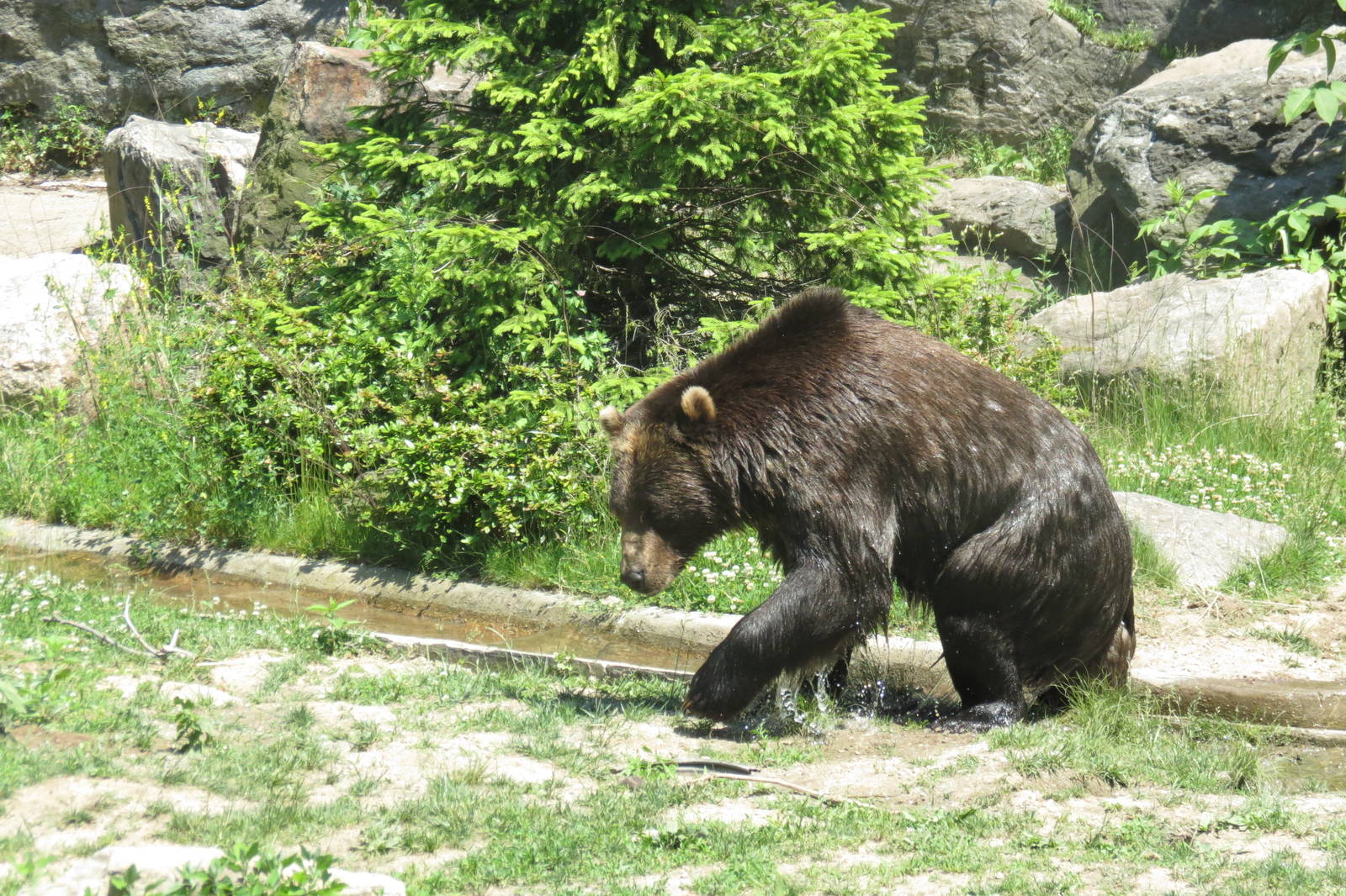 The right choice on a hot day