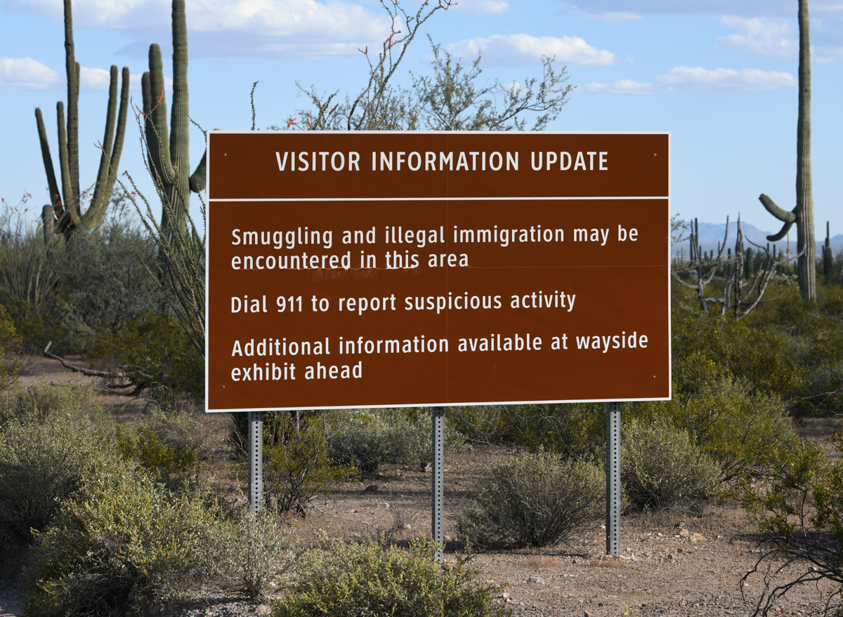 The Risk of Enjoying Nature