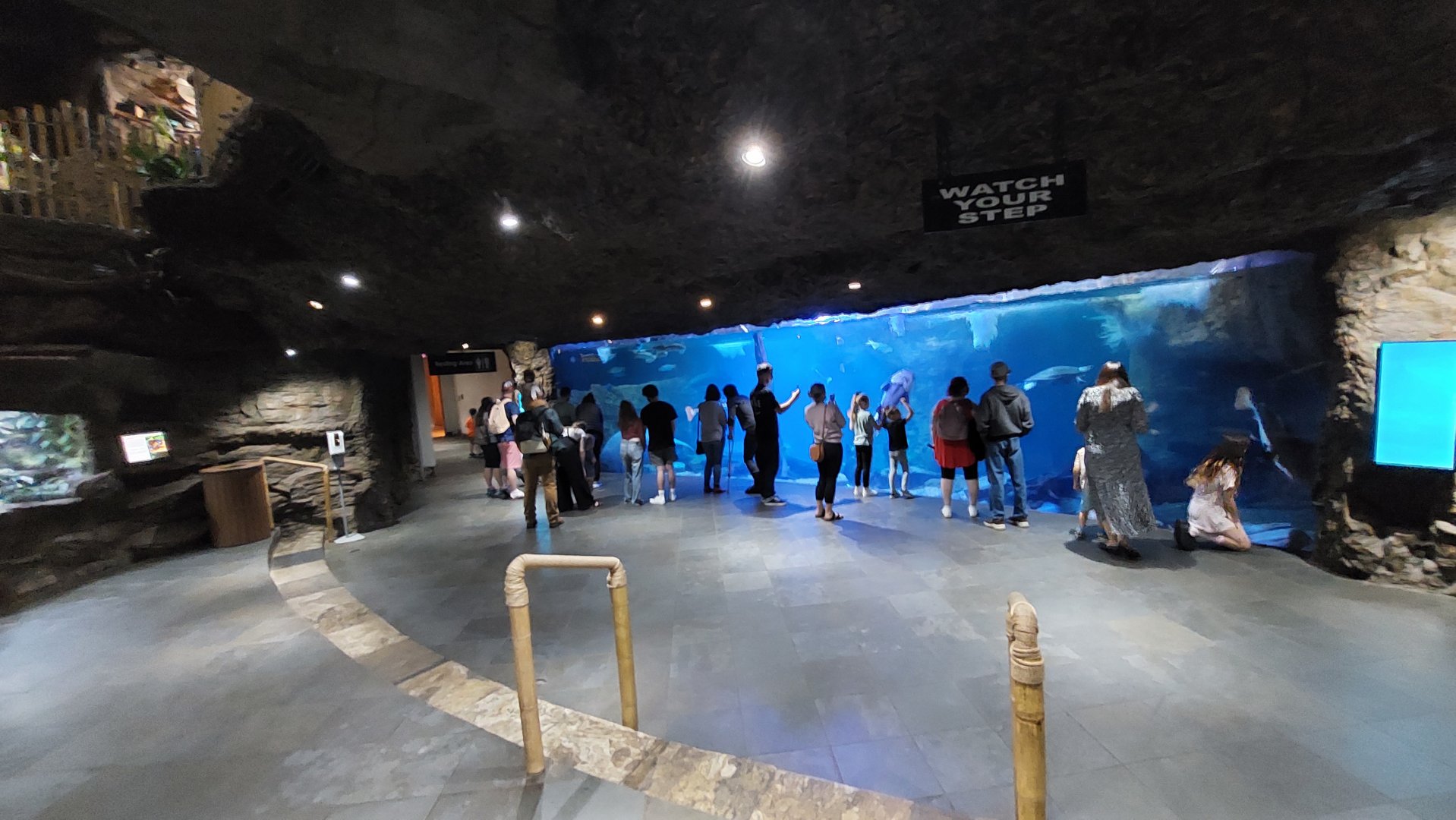 The River- Antillean Manitee exhibit