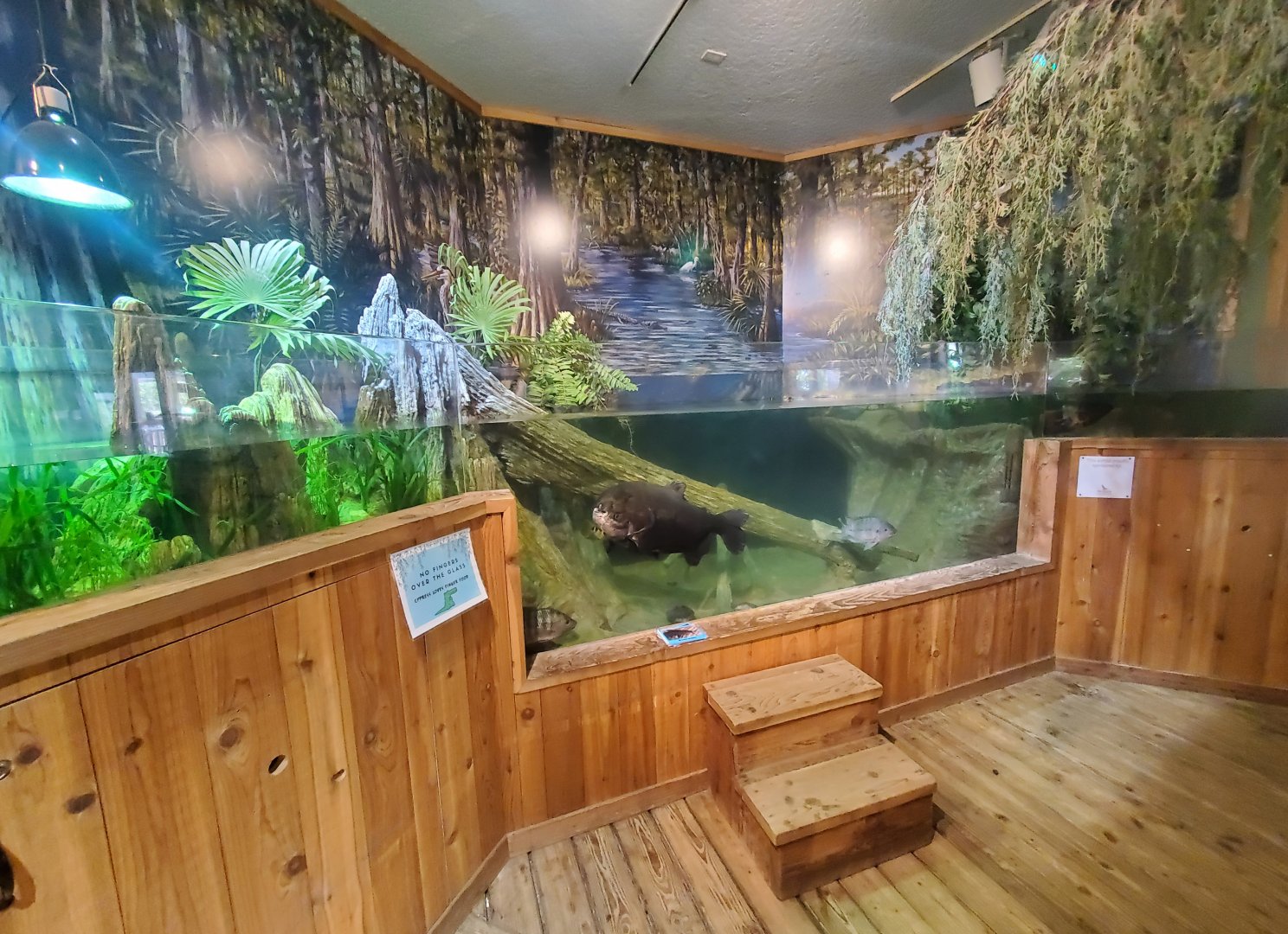 The River Center (2022)