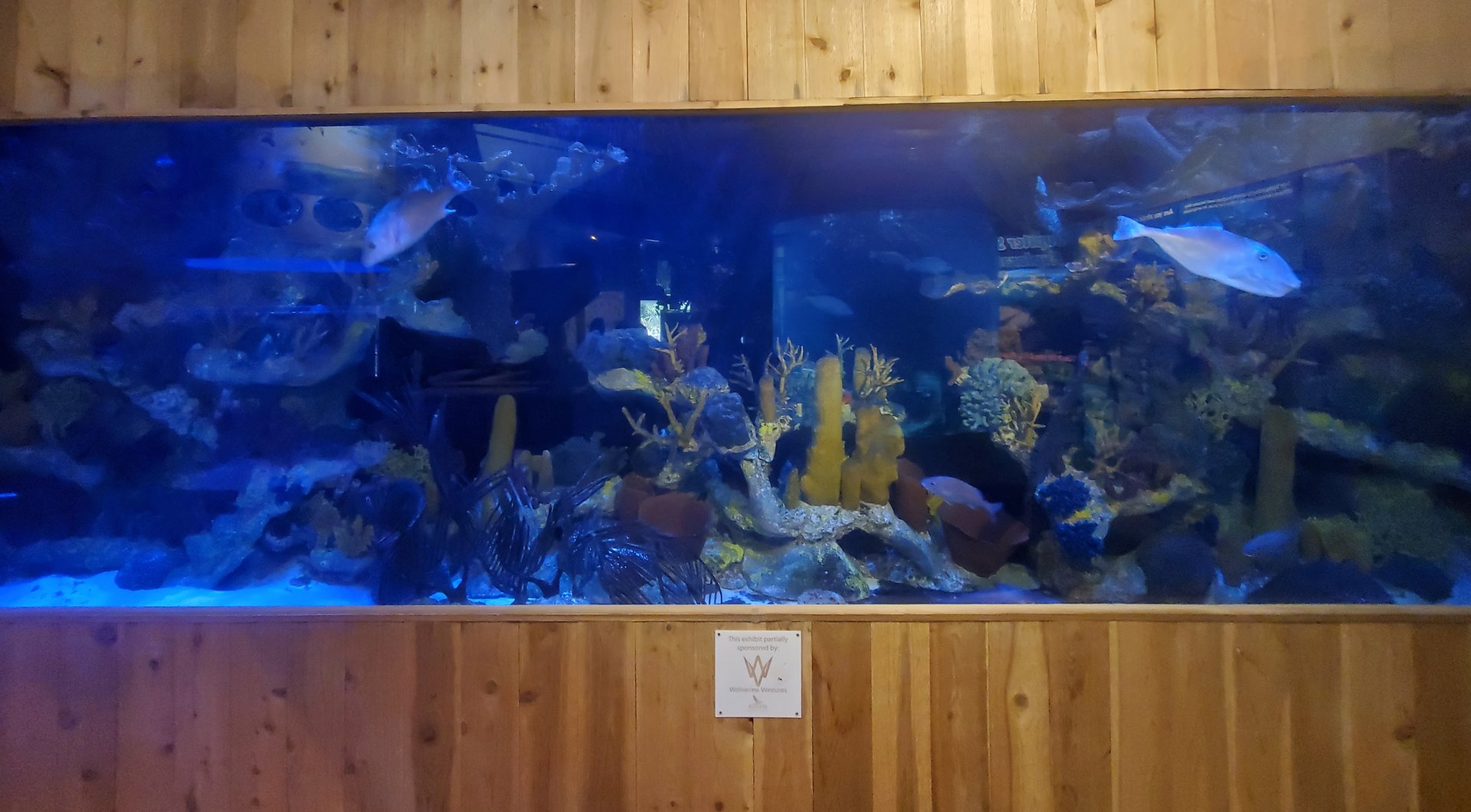 The River Center (2022)