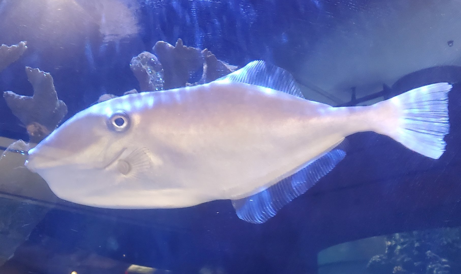 The River Center (2022)