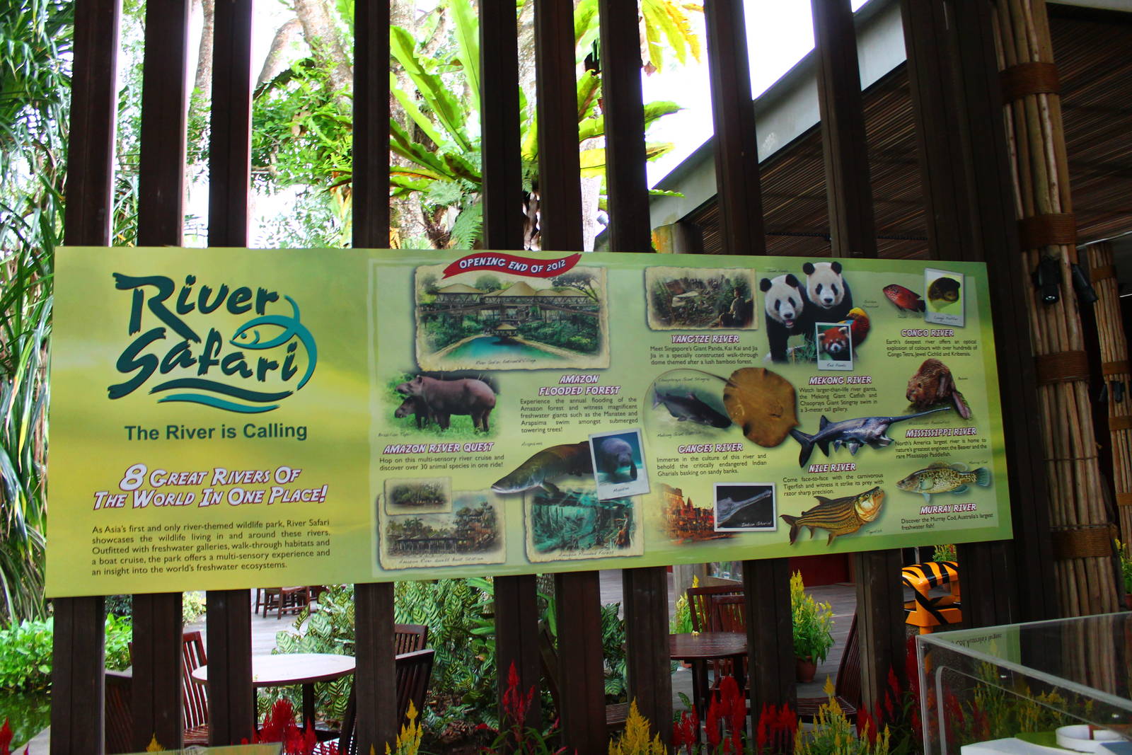 The River is Calling