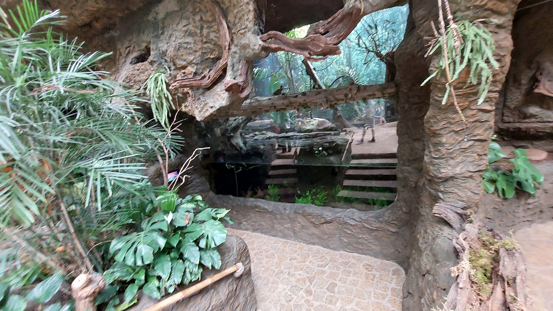 The River's Edge- Anaconda Exhibit