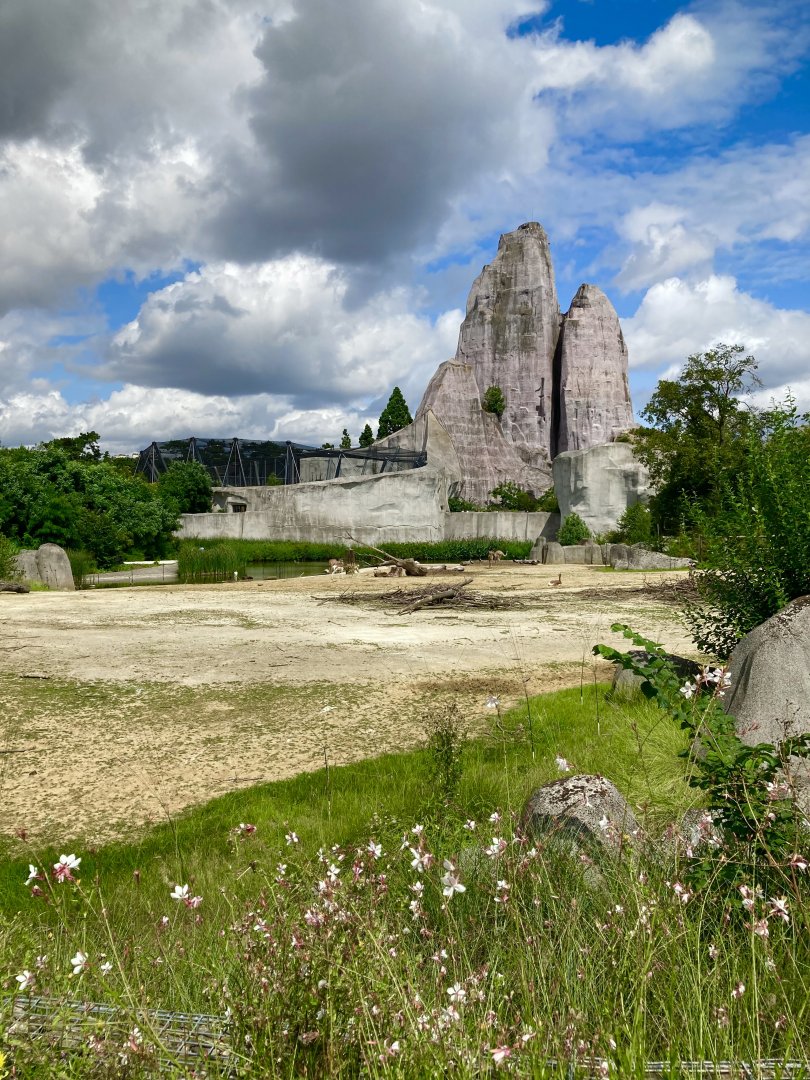 The rock and grassland exhibit