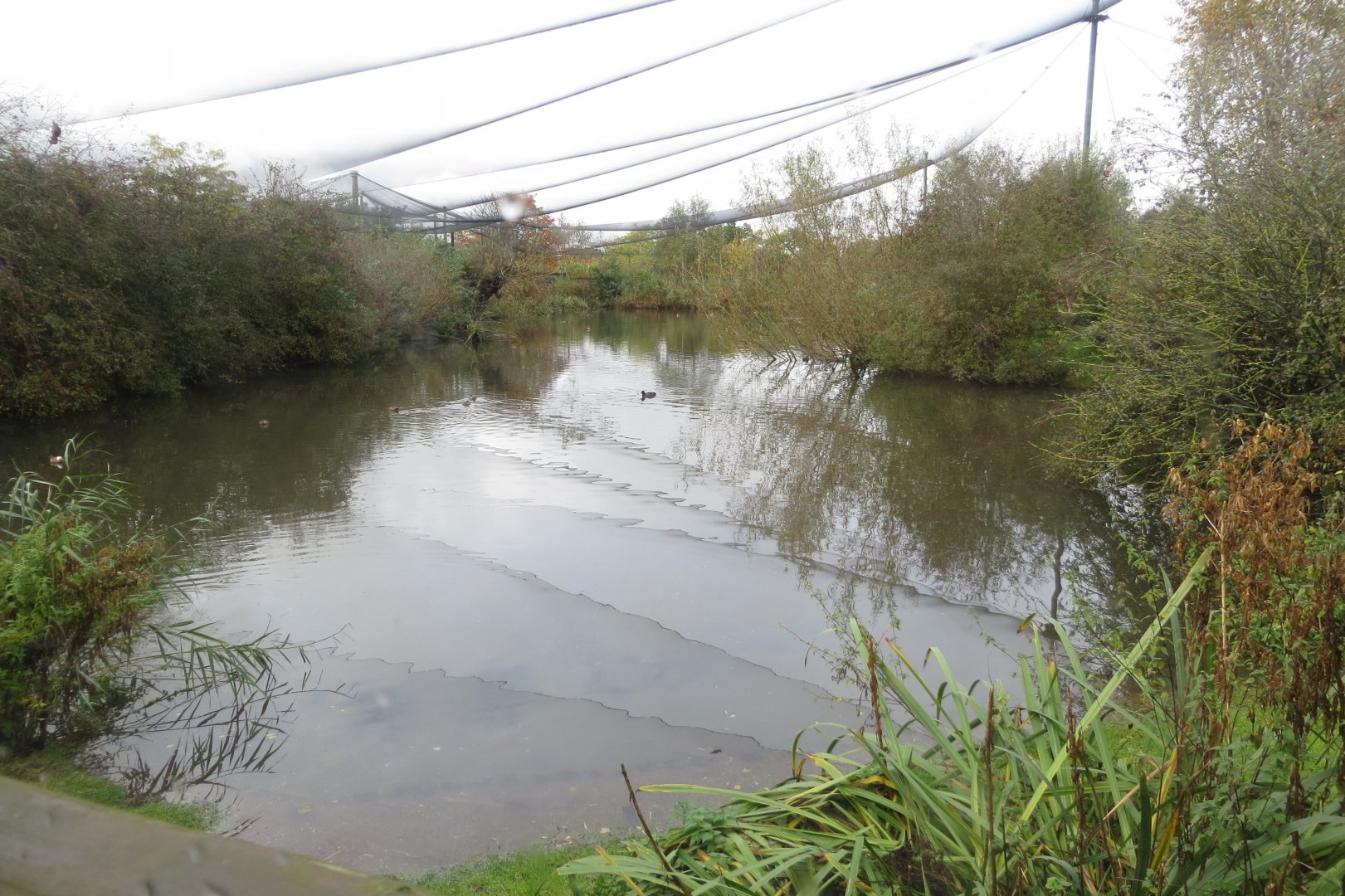 The Ronald and Kathleen Pryor Bird Hide 261019