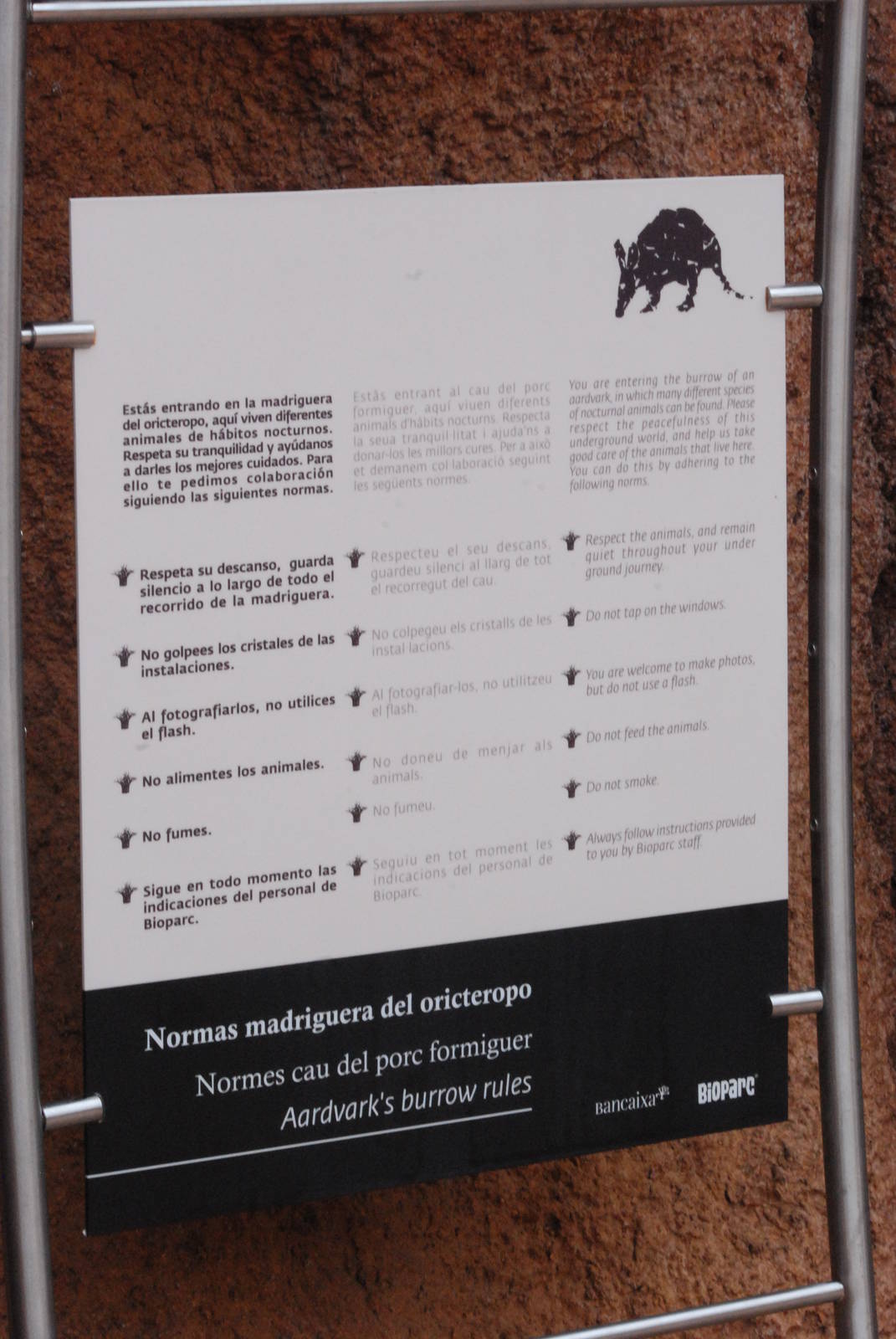 The Rules for Aardvark Burrow at Bioparc Valencia, 28/05/11