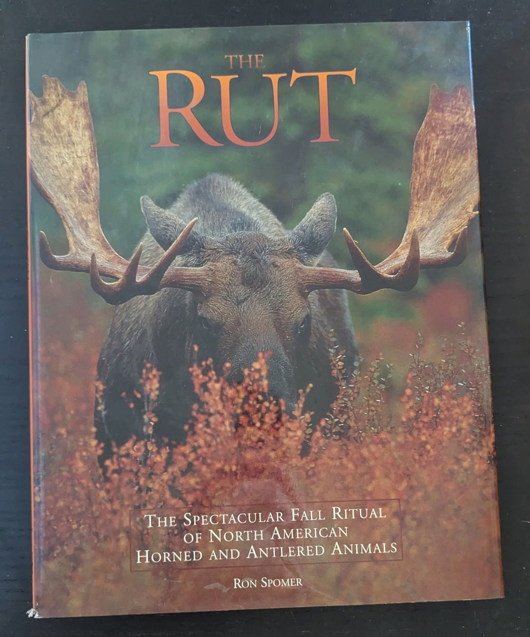 The Rut: The Spectacular Fall Ritual of North American Horned and Antlered Animals