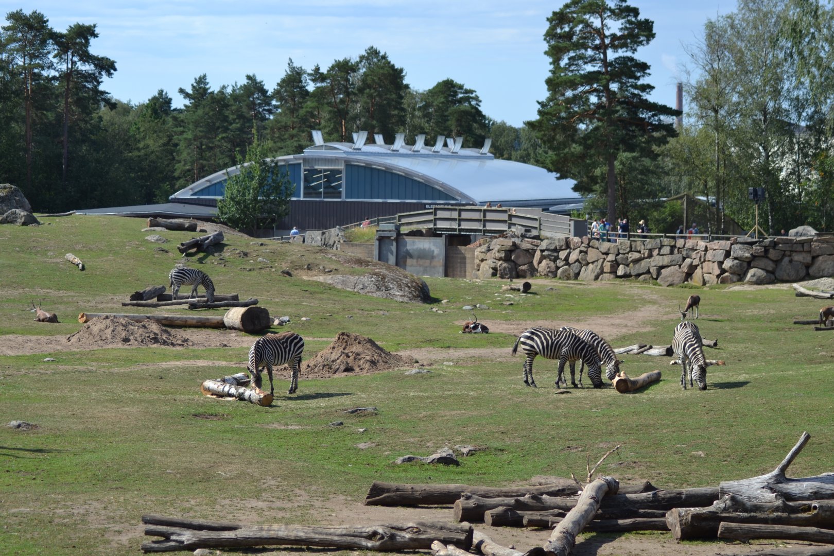 The savannah and the elephant house