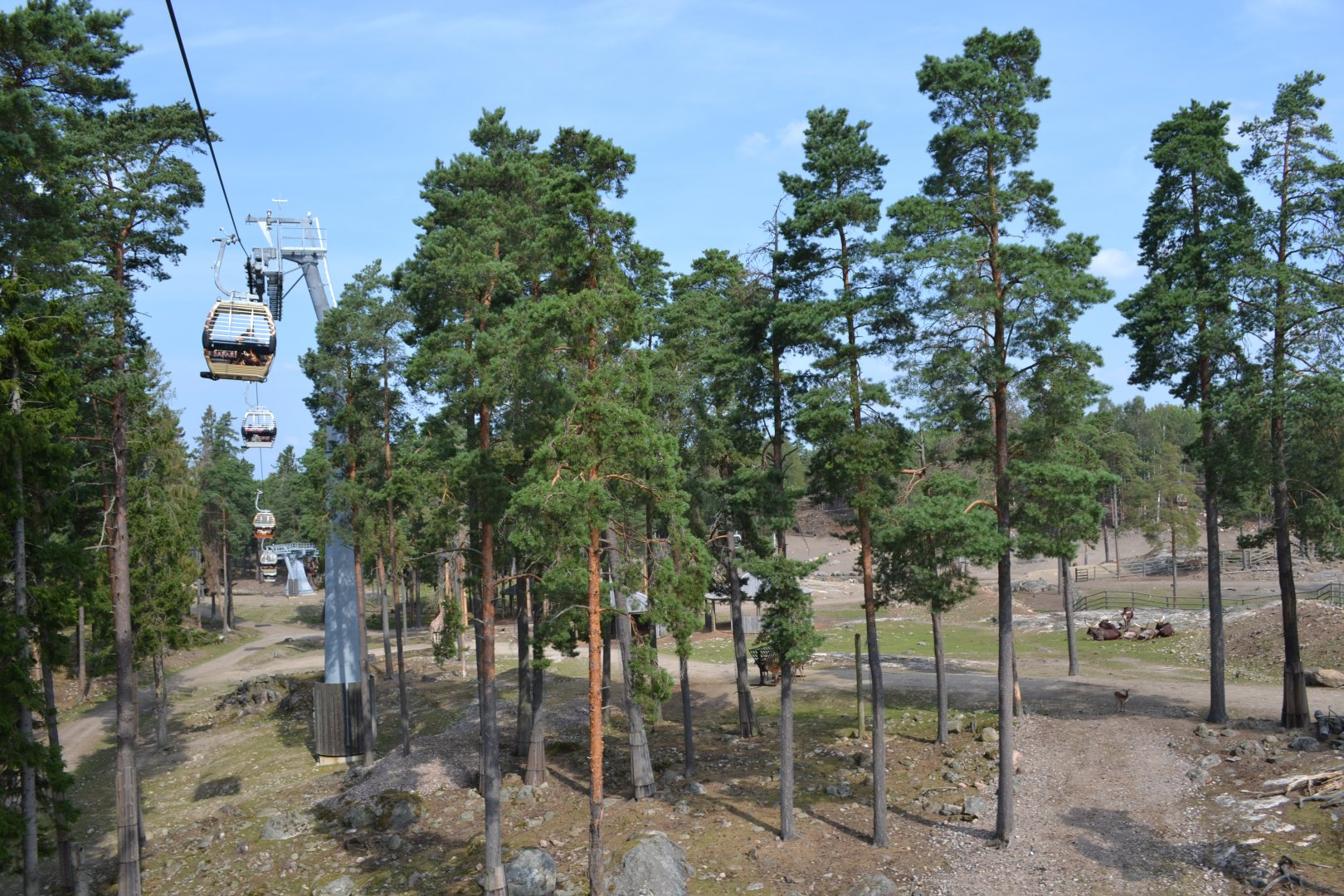 The savannah at Kolmården safari
