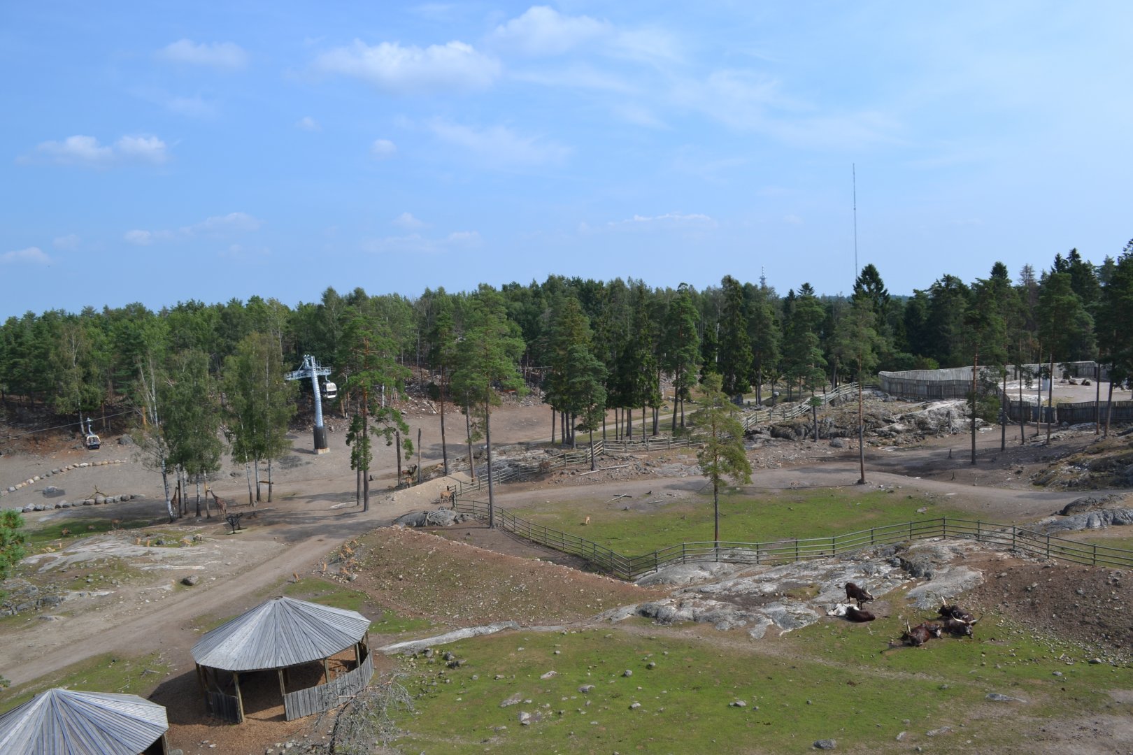 The savannah at Kolmården safari