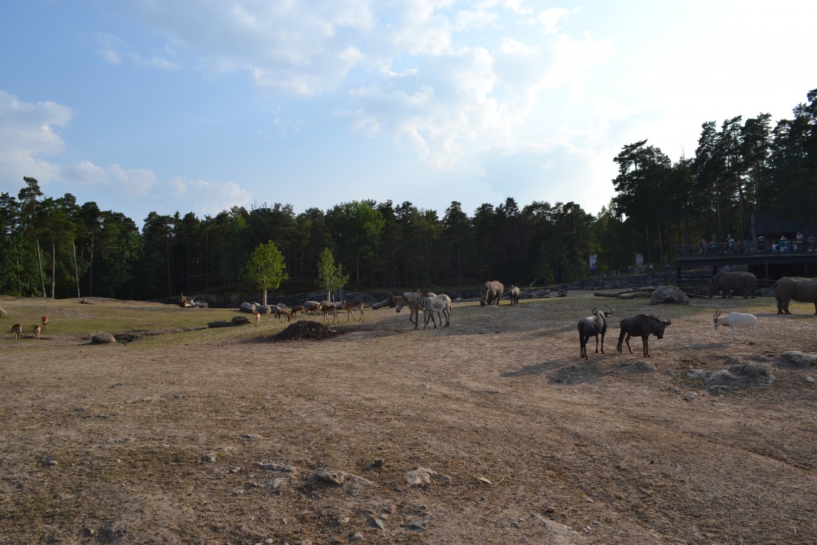 The savannah at Kolmården
