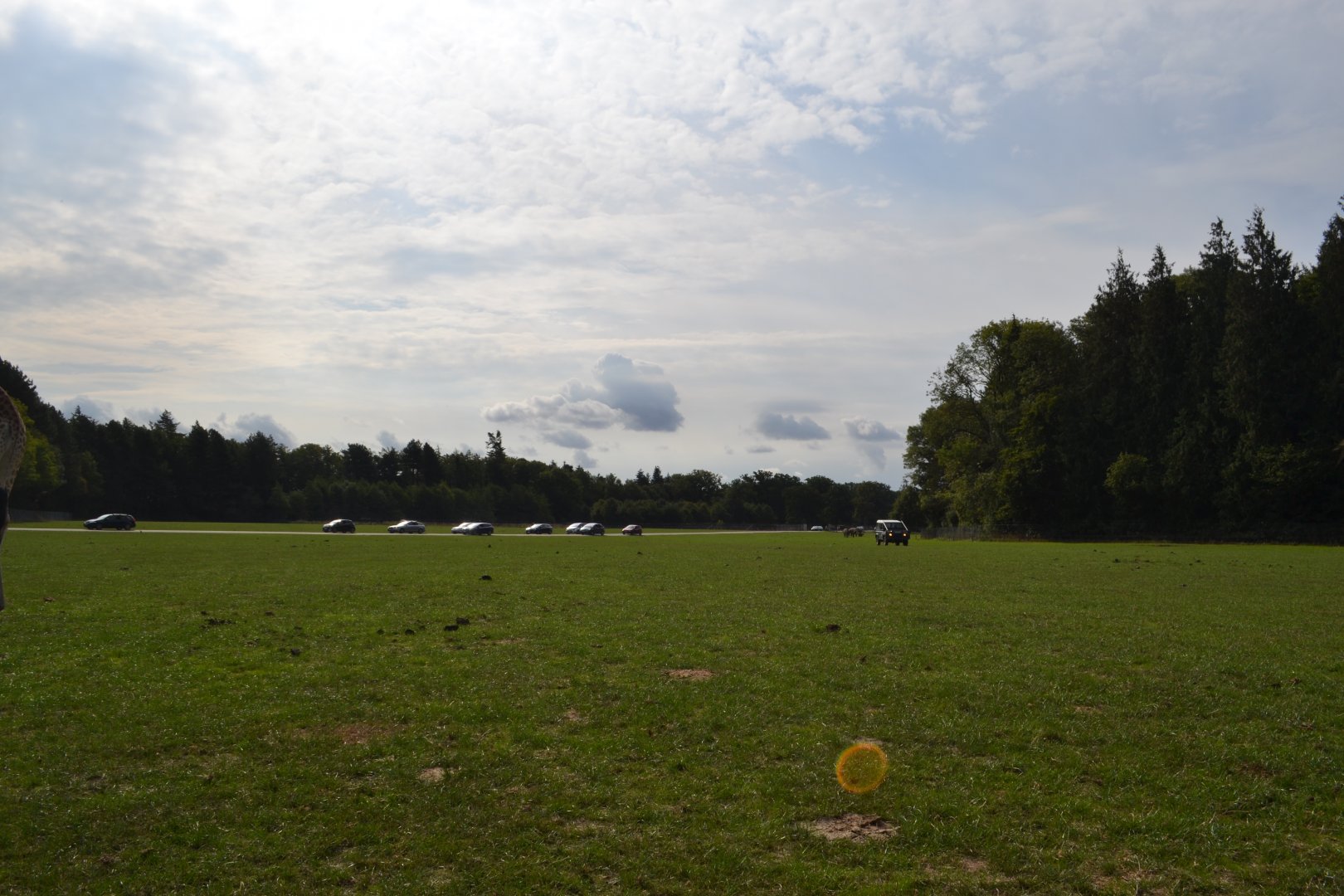 The savannah in Knuthenborg