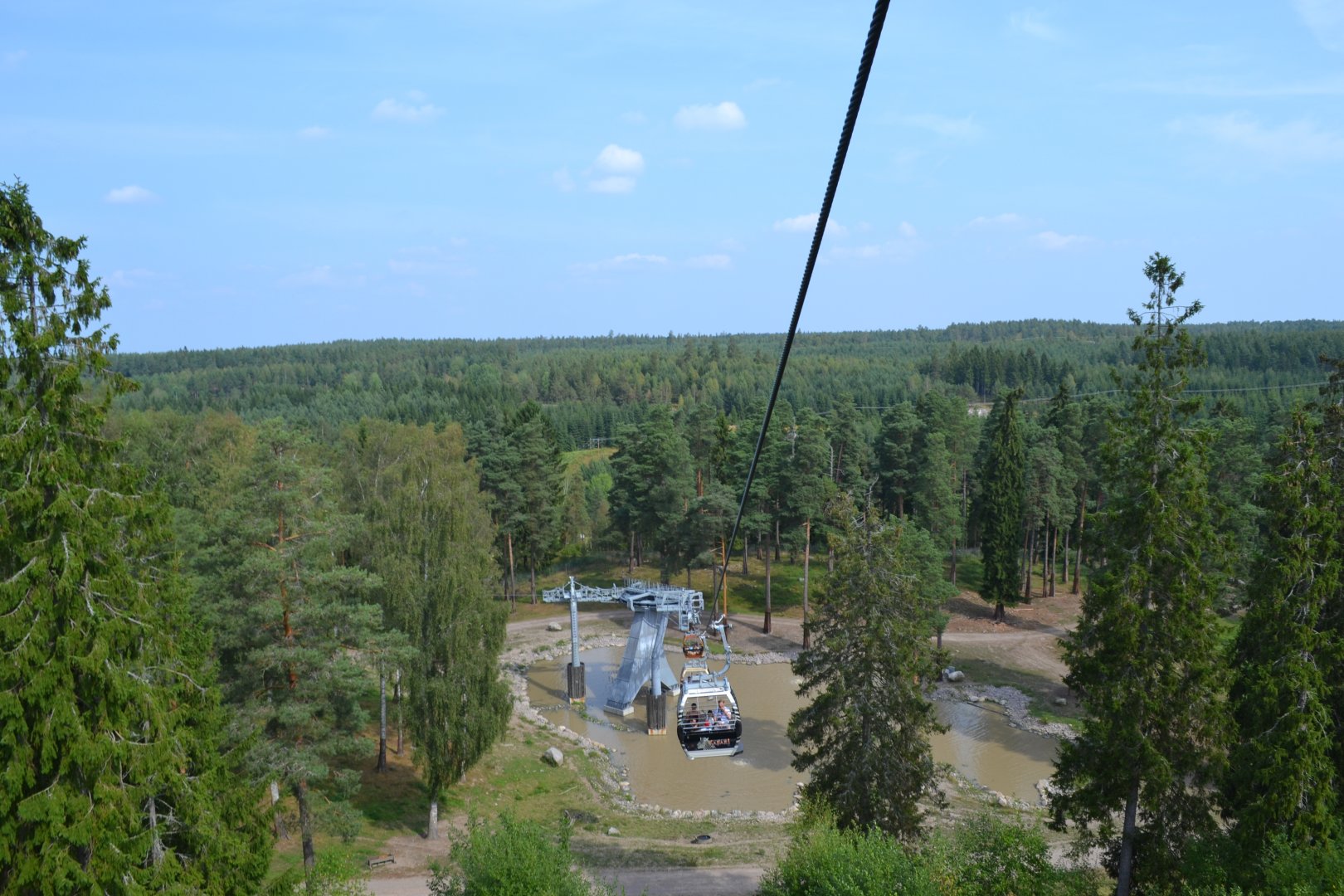 The Scandinavian forest at Kolmården safari