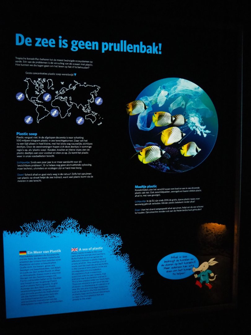 The sea is not a garbage can sign (Sep 16th, 2018)