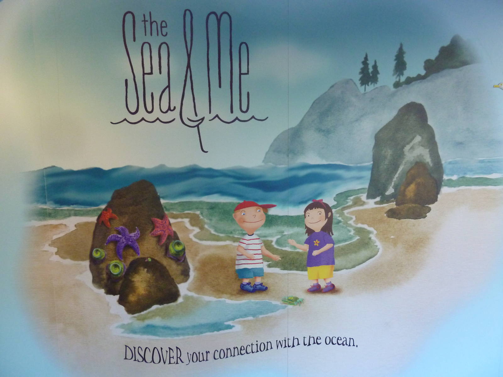 The Sea + Me (Temporary Exhibit)