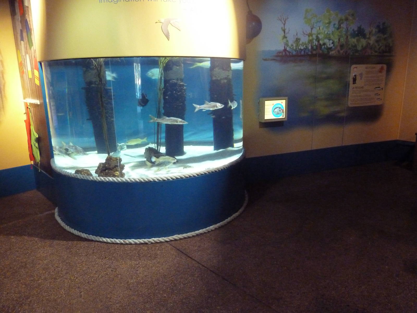 The Sea + Me (Temporary Exhibit)