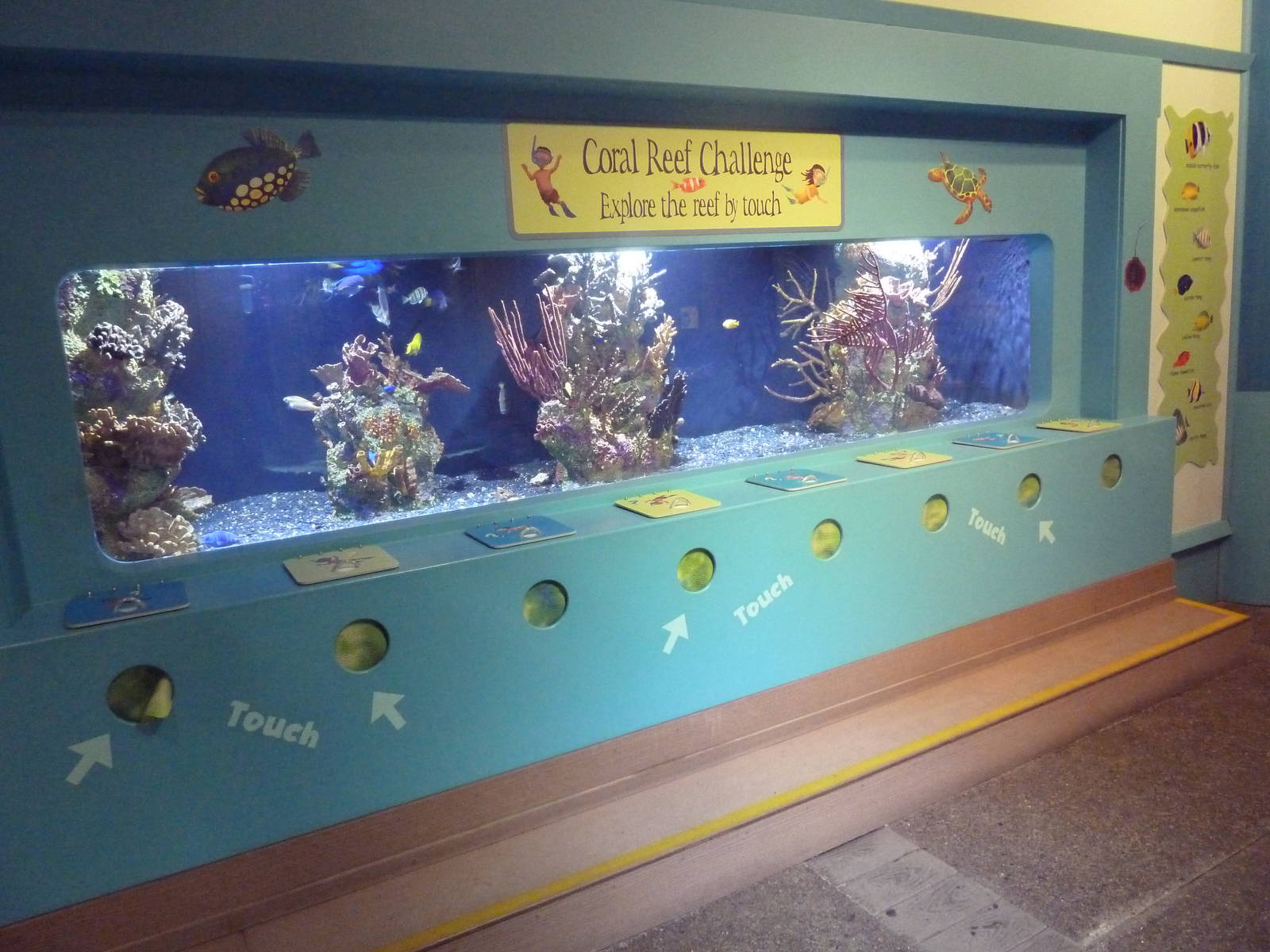 The Sea + Me (Temporary Exhibit)