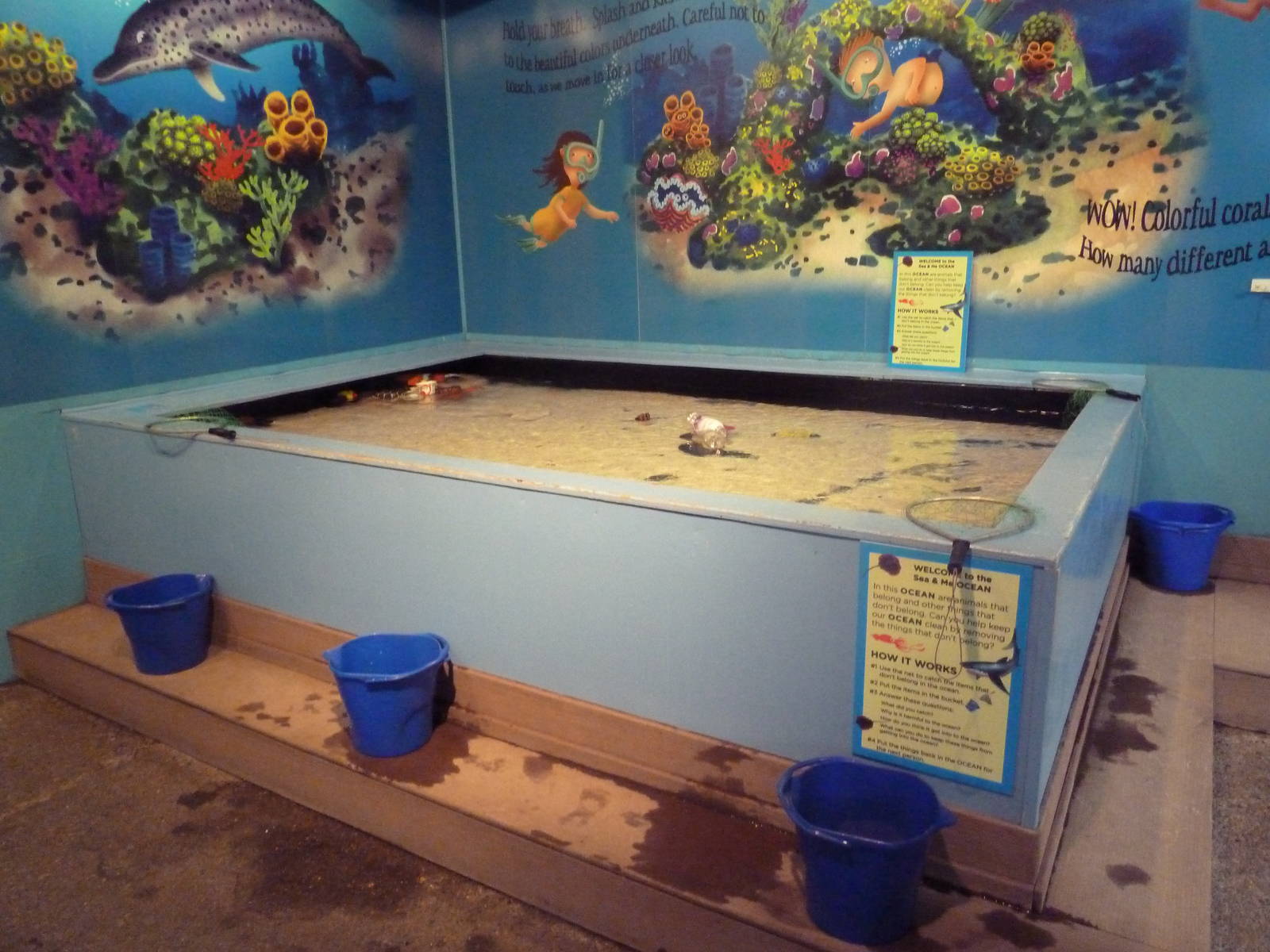 The Sea + Me (Temporary Exhibit)