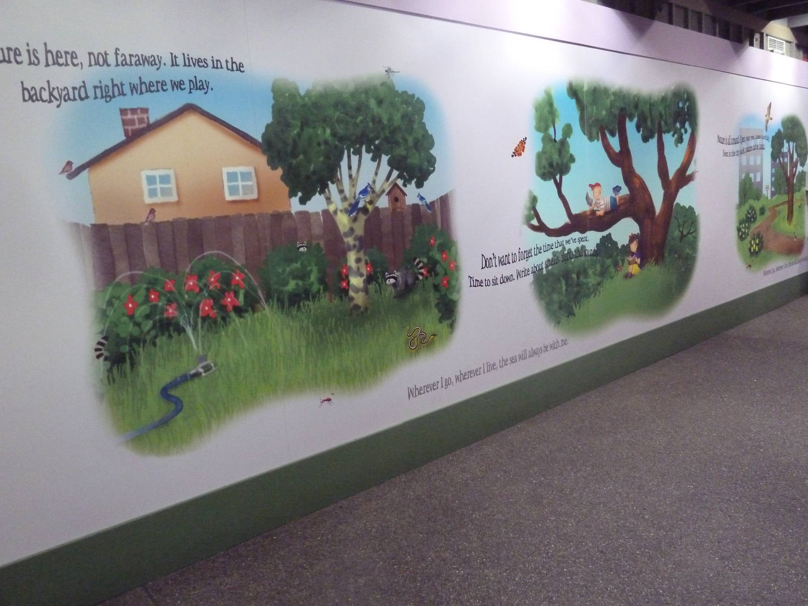 The Sea + Me (Temporary Exhibit)