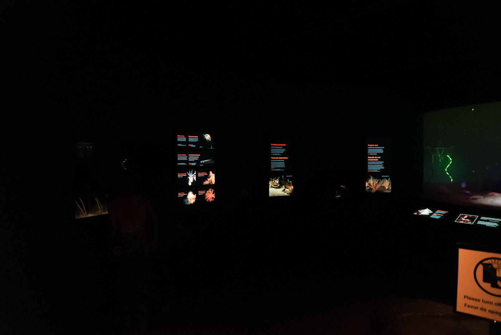 'The Seafloor' (left side) (Into the Deep)