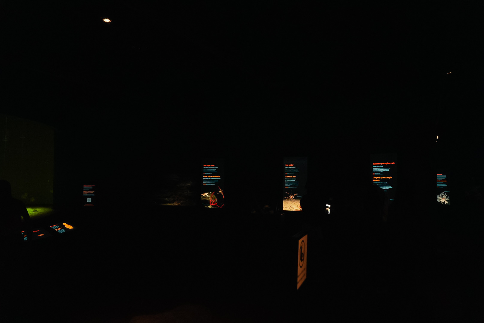 'The Seafloor' (right side) (Into the Deep)