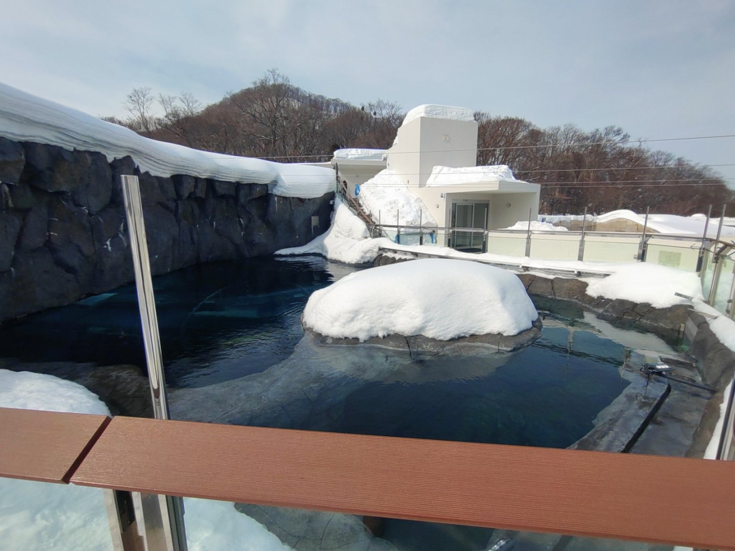 The seal pool in the Polar Bear Pavilion.