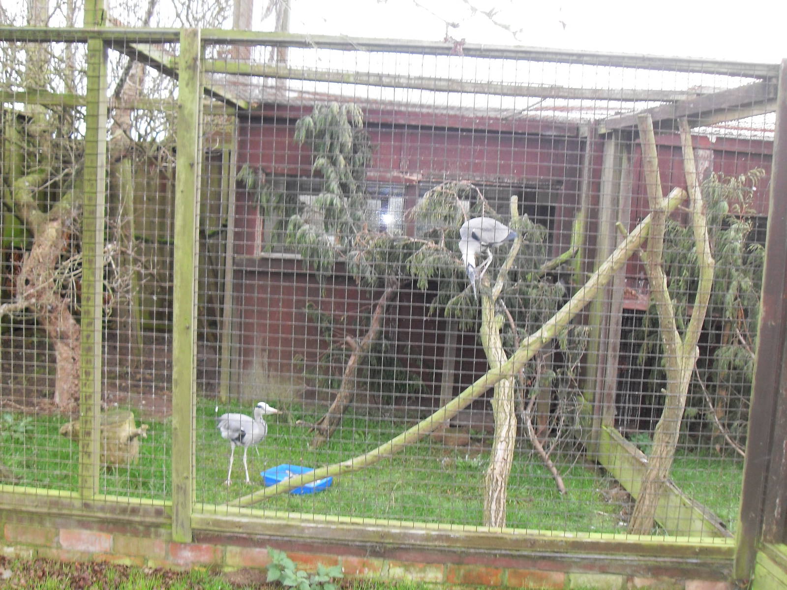 The Seal Sanctuary Mablethorpe
