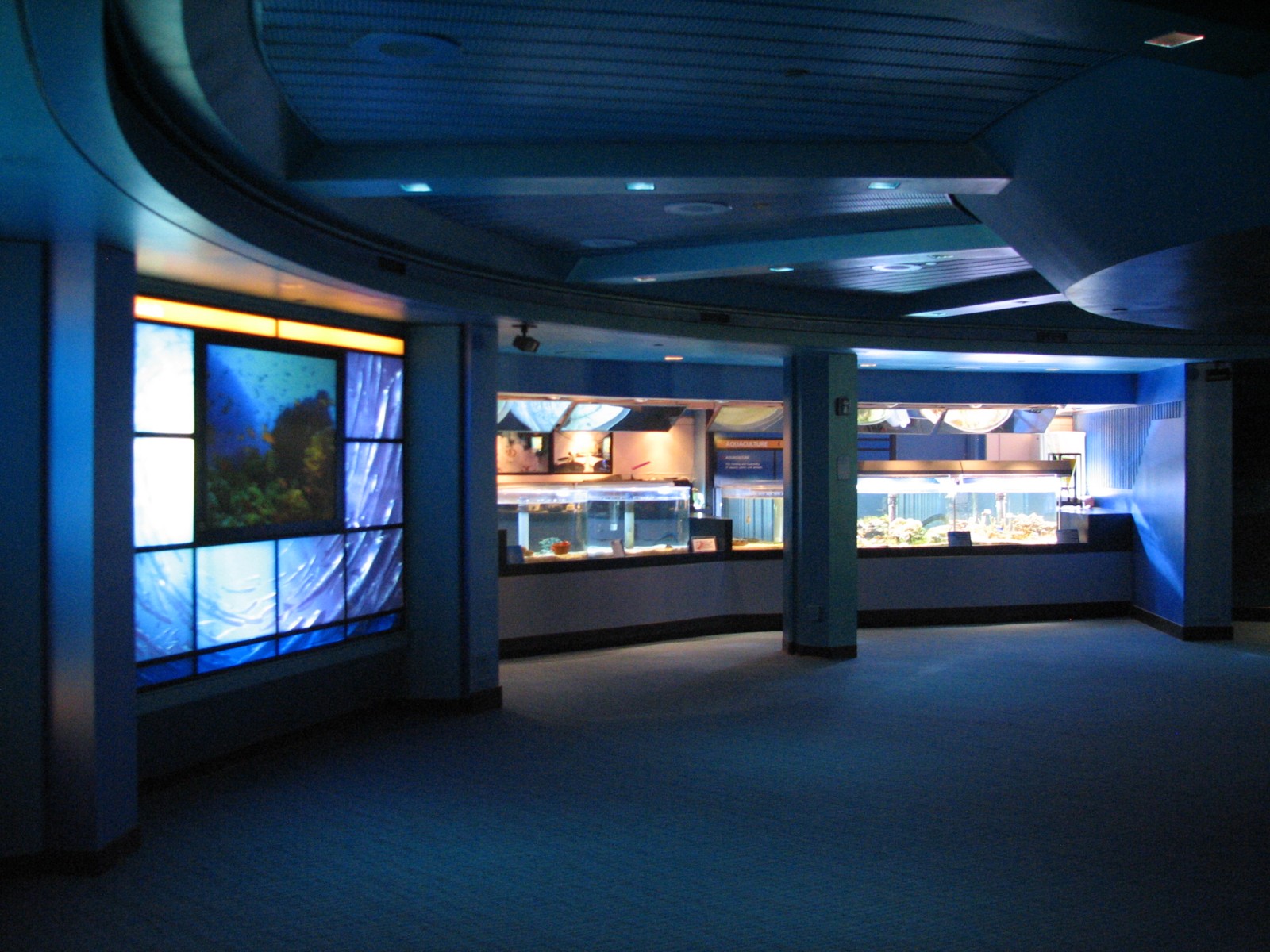 The Seas at EPCOT - Aquaculture Lab