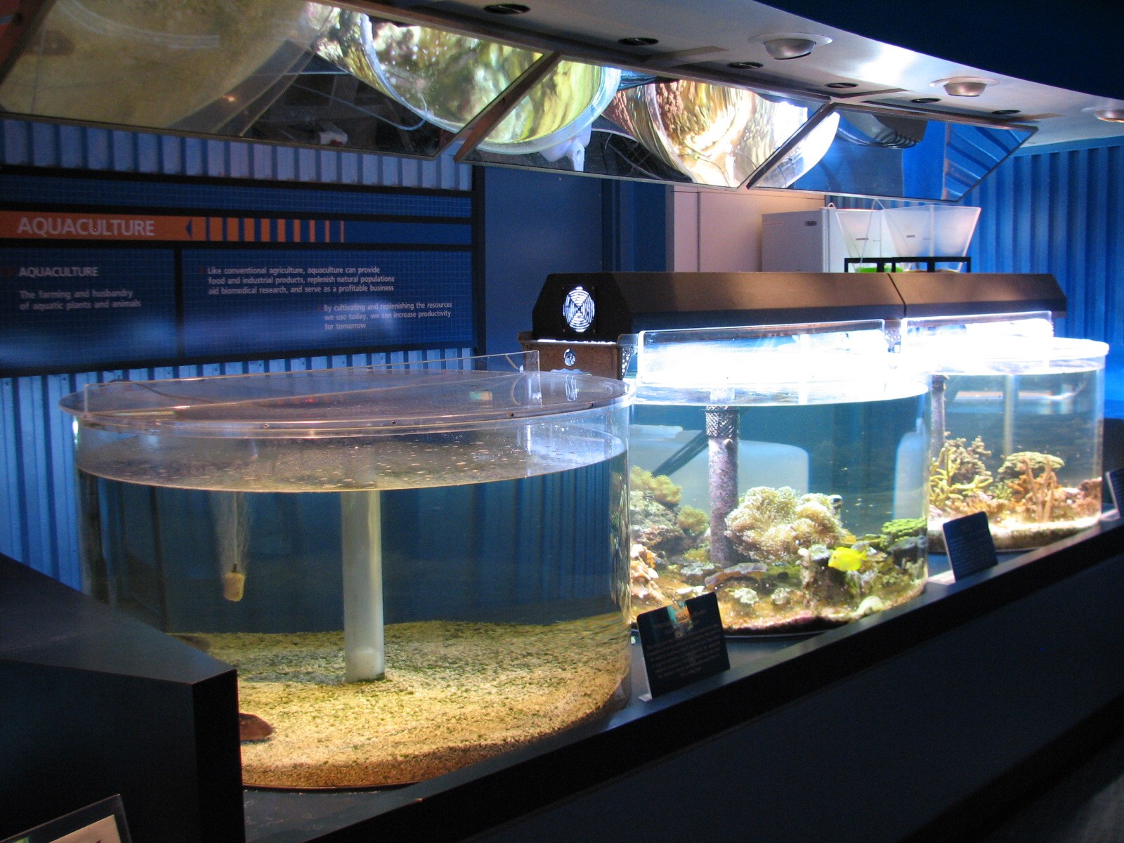 The Seas at EPCOT - Aquaculture Lab